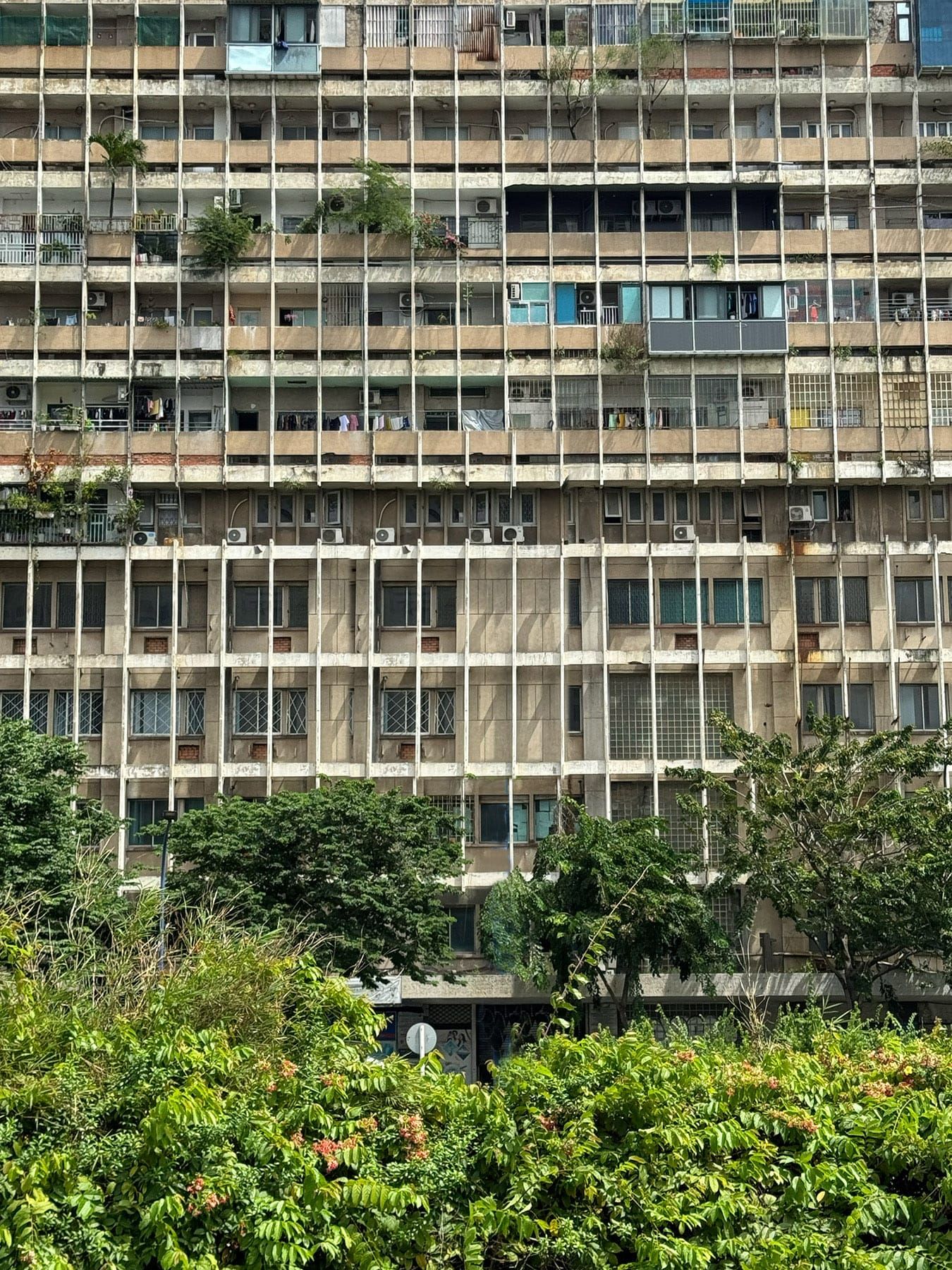 Hero Image of Những bất ngờ bên trong chung cư cũ