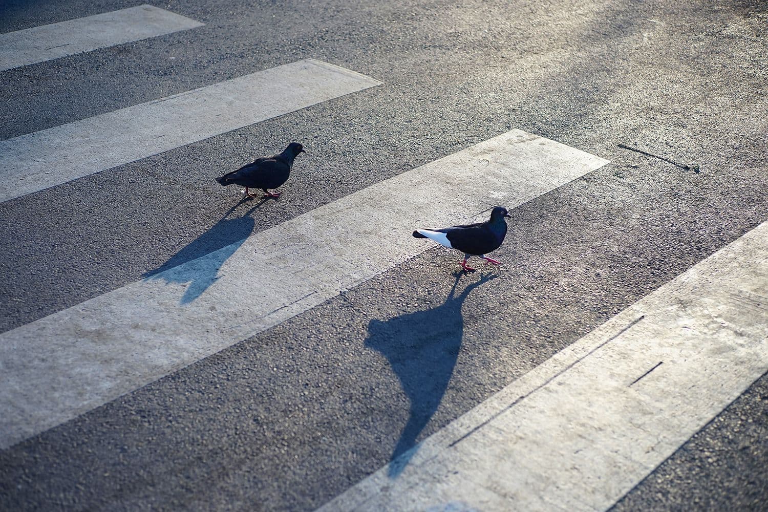 Hero Image of Du lịch mỗi tuần, tại sao không?