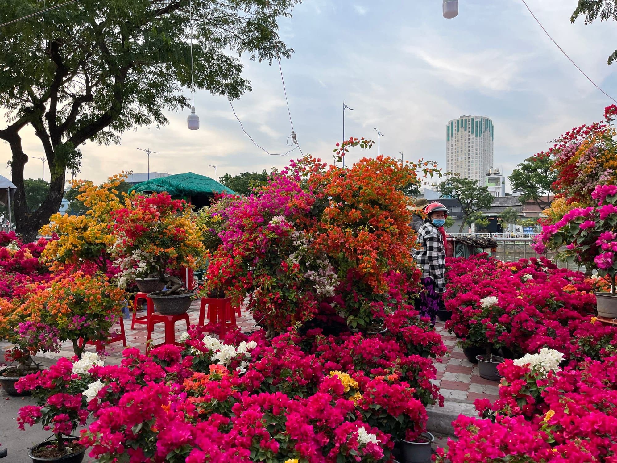 Hero Image of Chợ Tết và trò chơi trả giá