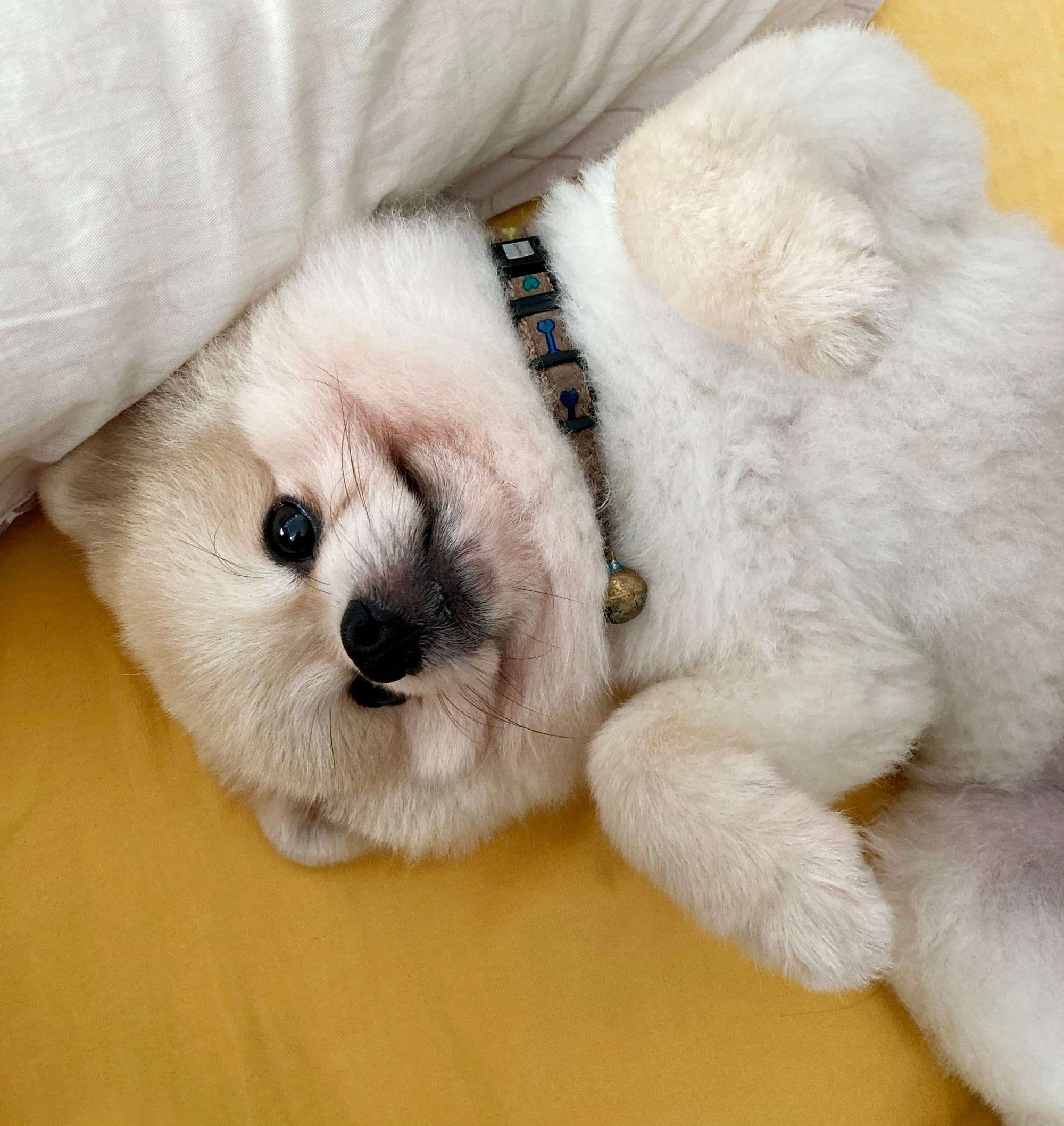 Hero Image of Chúng ta có lười không?