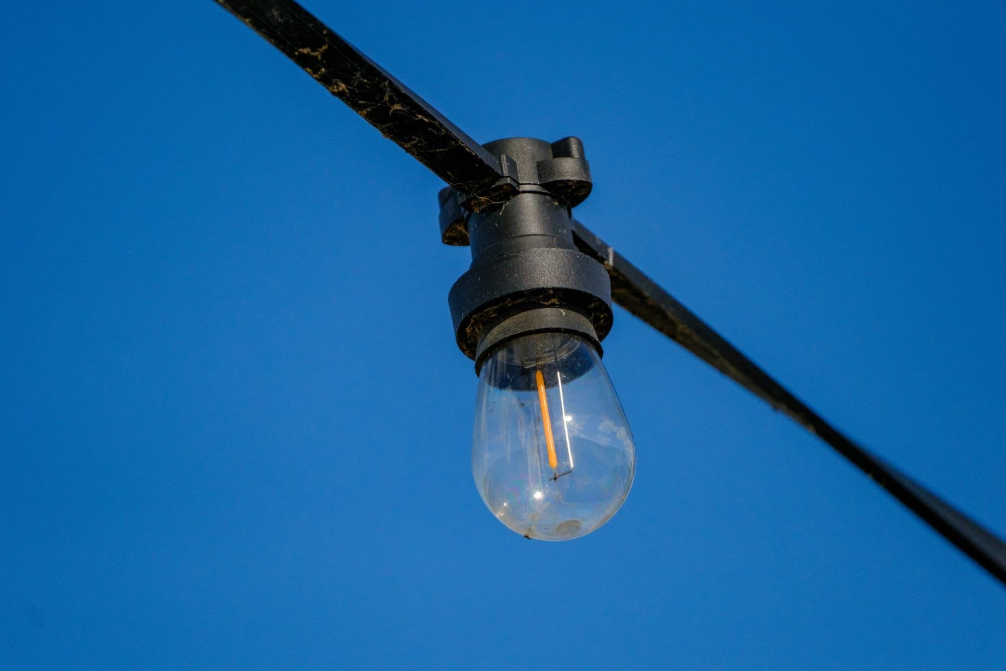 Hero Image of Giờ trái đất và bảo vệ môi trường