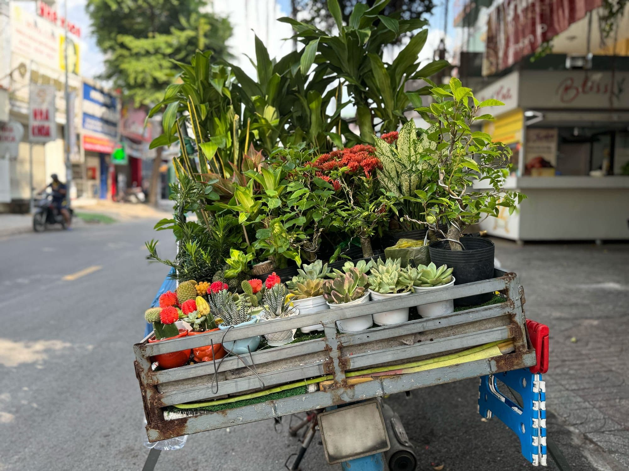 Hero Image of Một ngày ở Sài Gòn