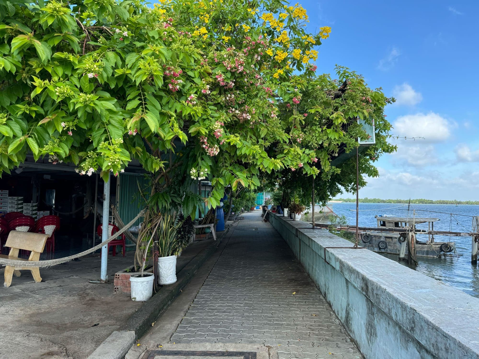 Hero Image of Đến Cần Giờ bằng con đường ít người đi