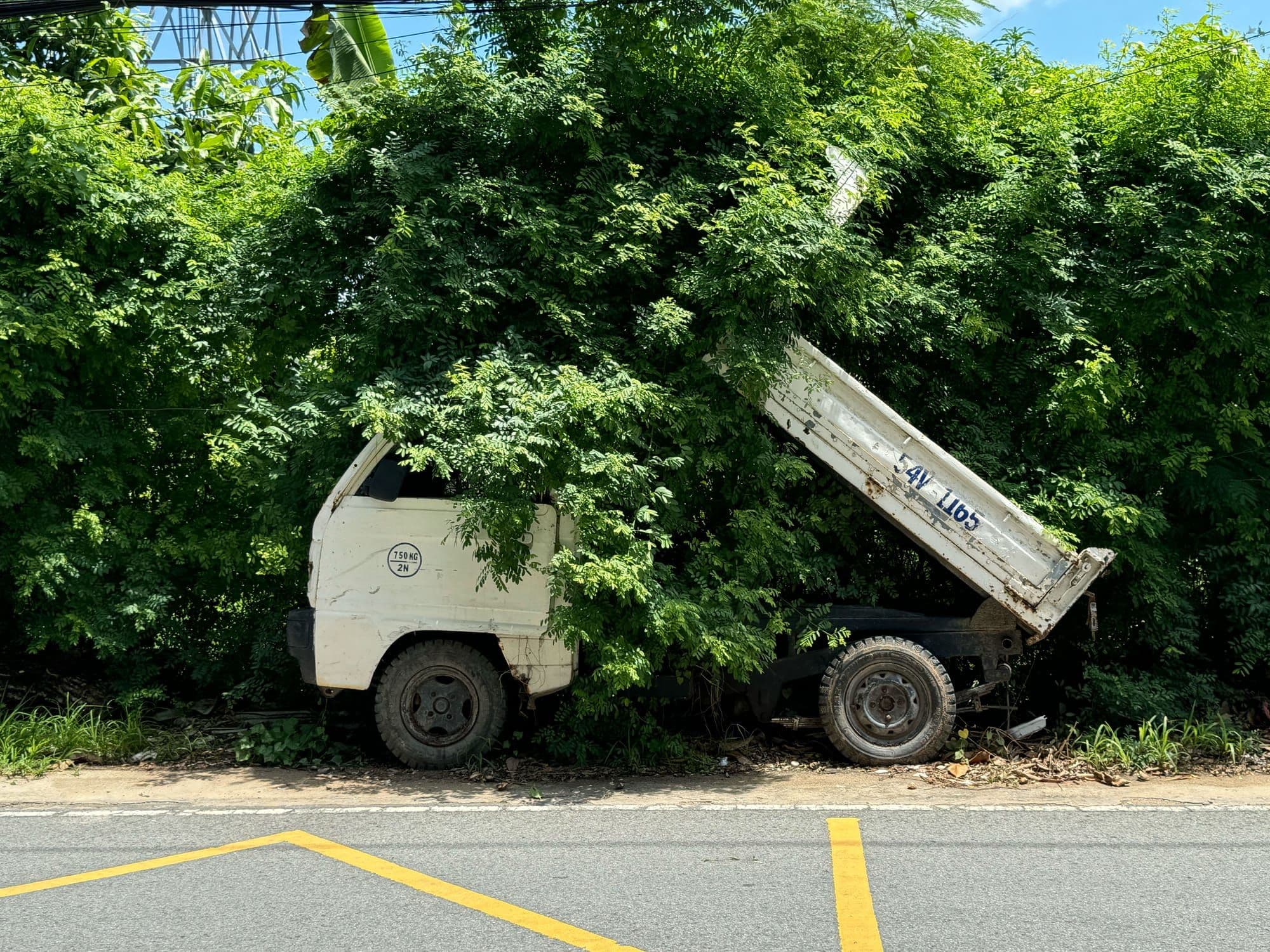 Hero Image of Sài Gòn ngộ nghĩnh