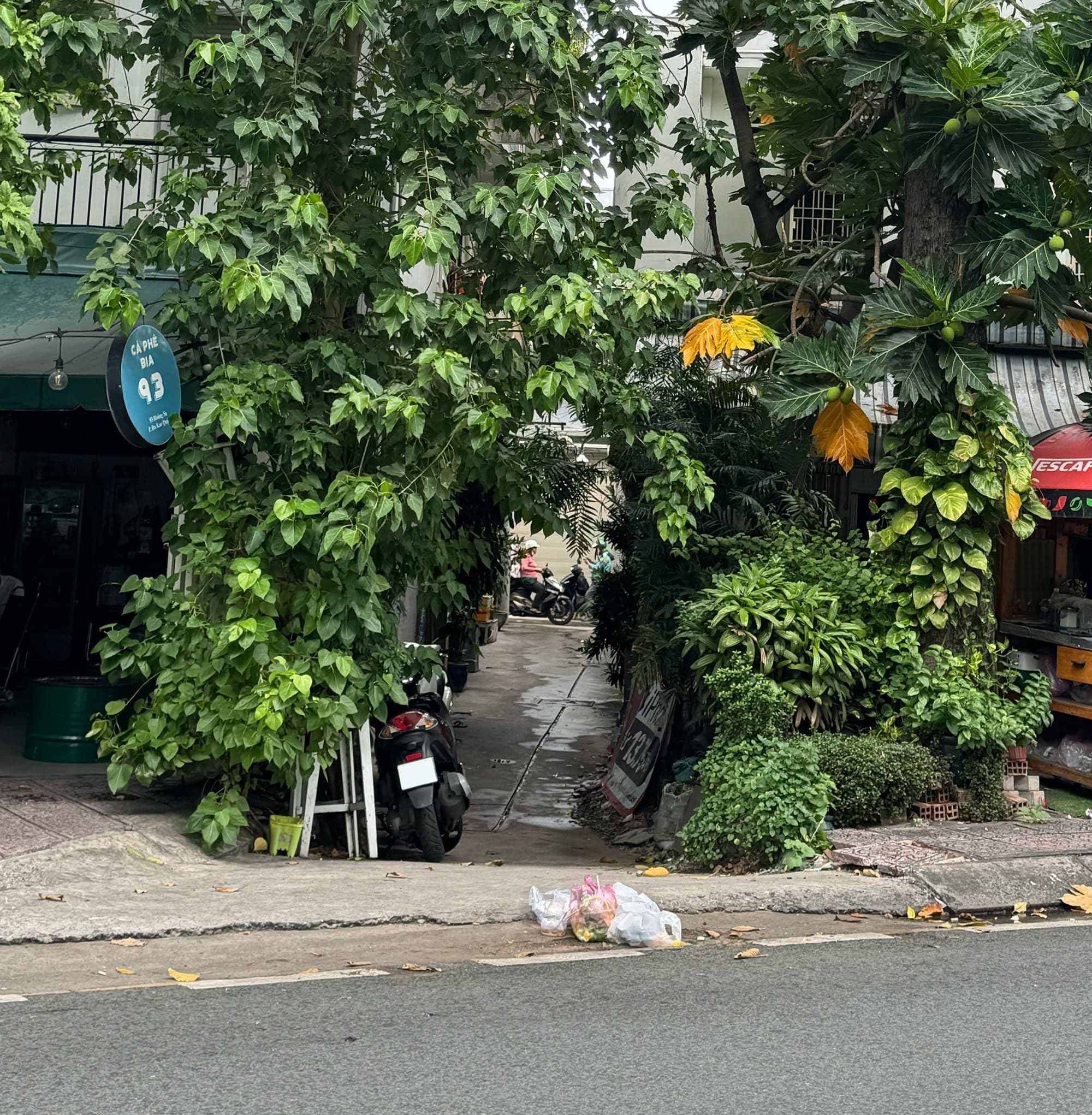 Hero Image of Cuối tuần trên con đường xanh