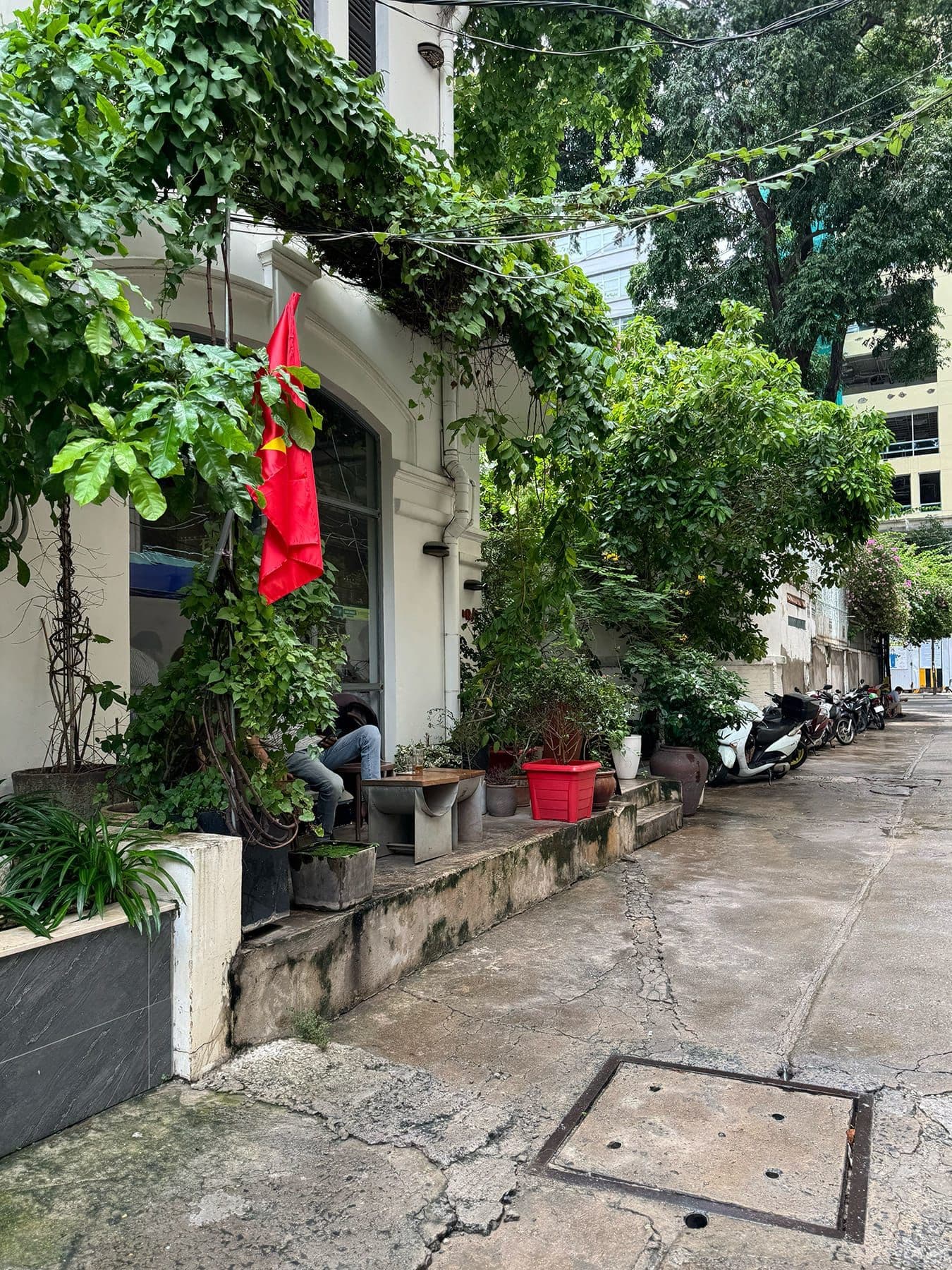 Hero Image of Chill trong những con hẻm không tên