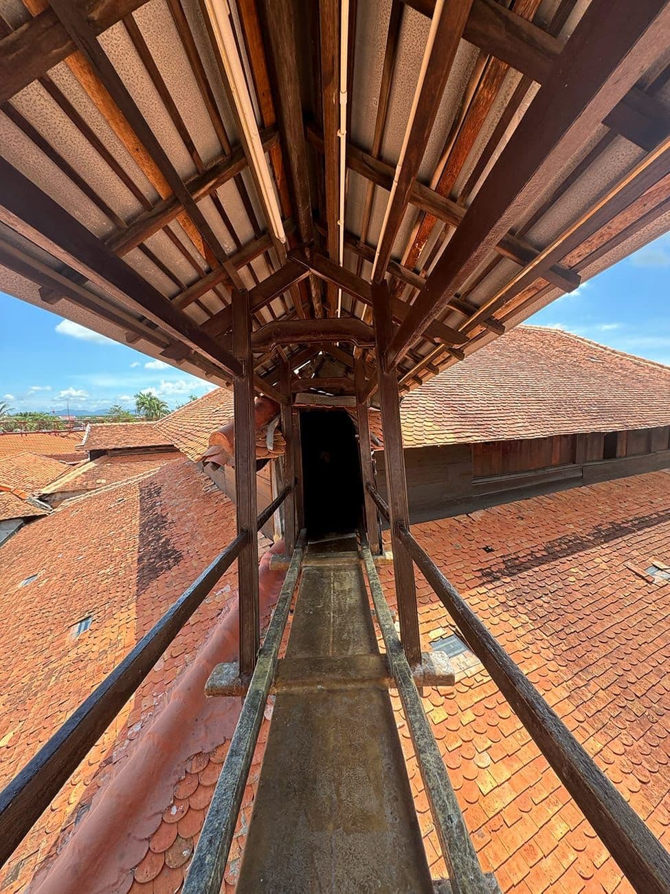 Hero Image of Theo chân một dị nhân