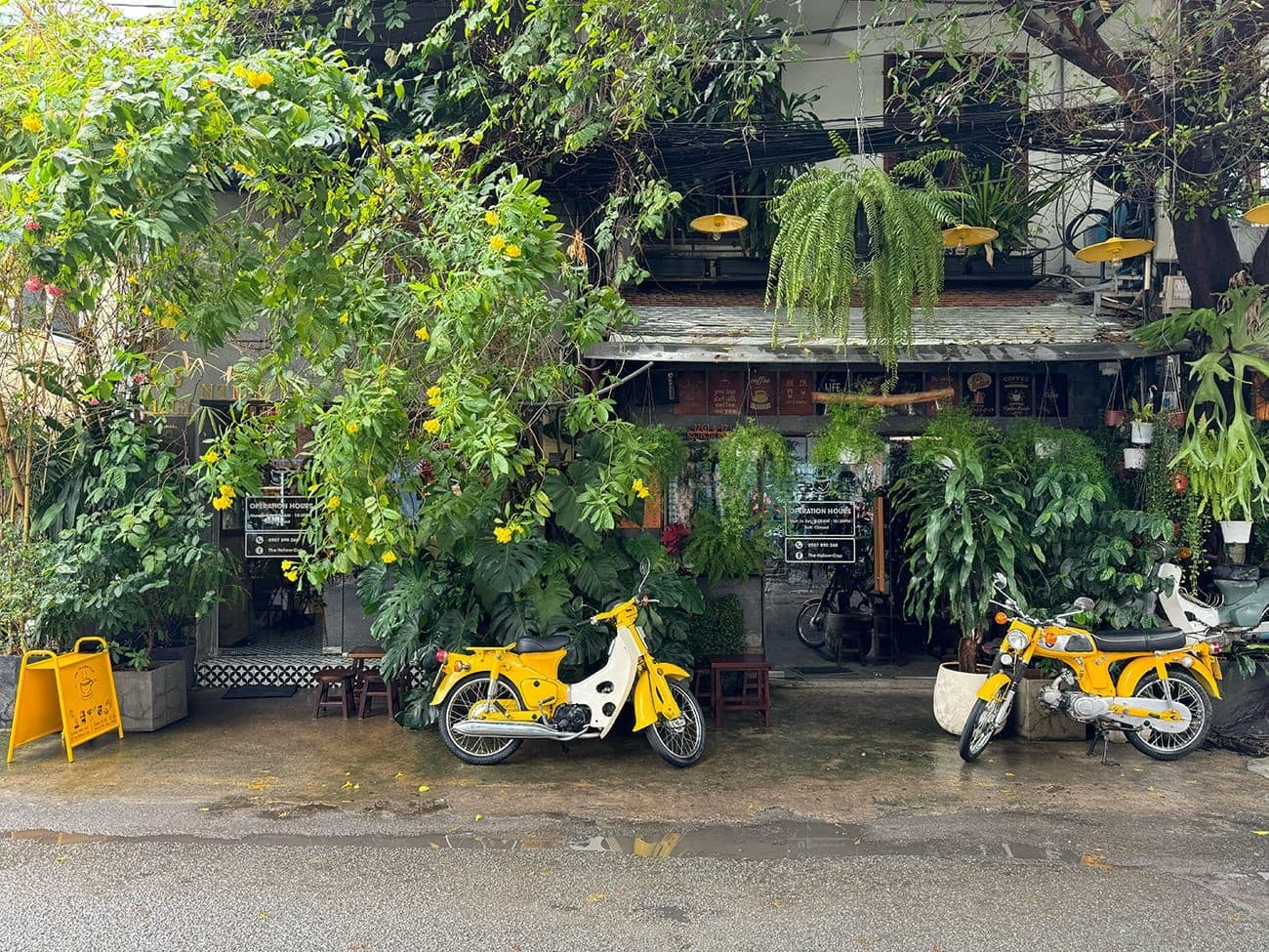 Hero Image of Nhẹ nhàng một hẻm chill