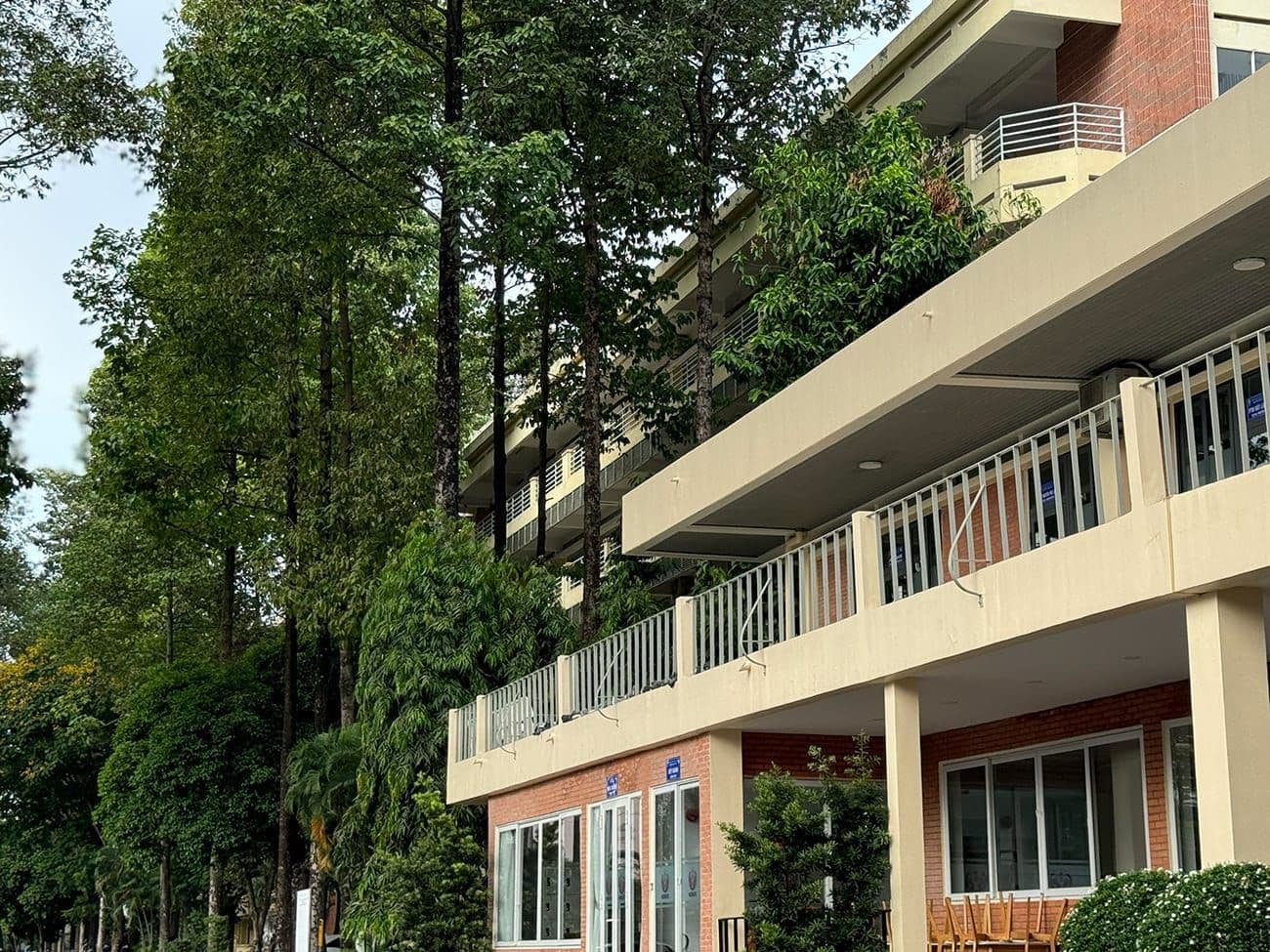 Hero Image of Ngôi trường Đà Lạt ở Sài Gòn và câu chuyện lạ về kiến trúc