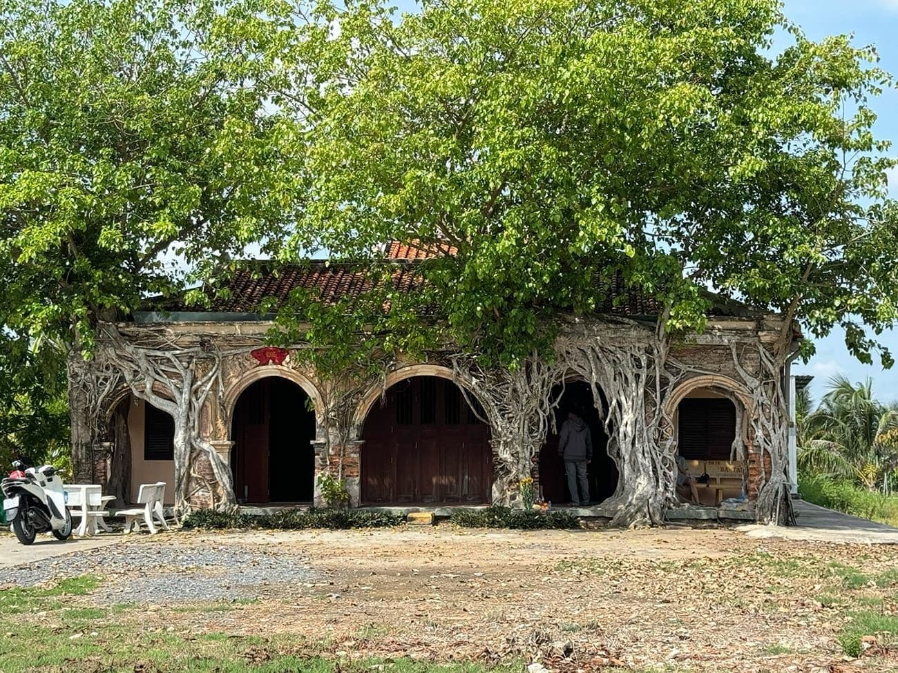 Hero Image of Một ngôi đình kỳ lạ