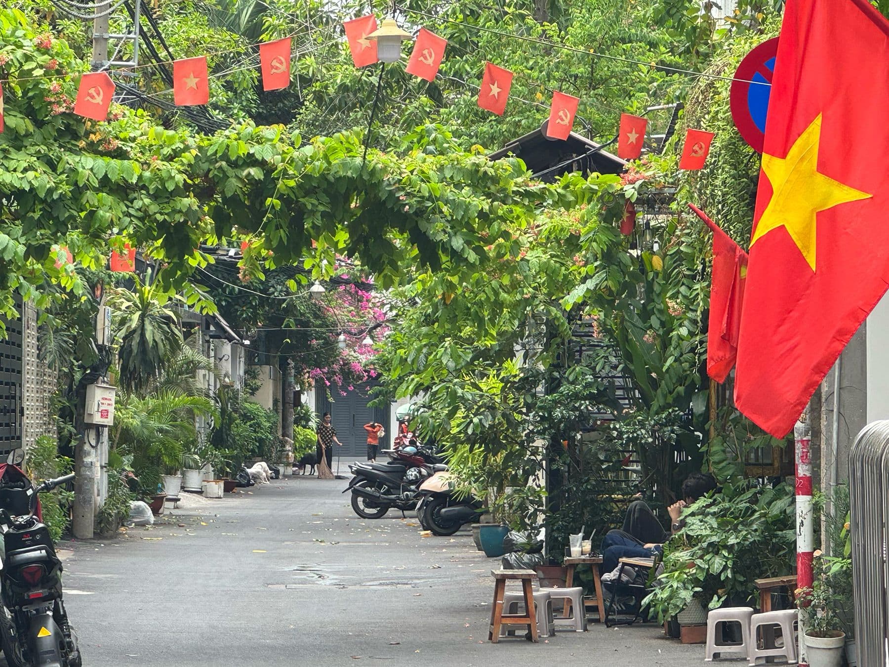 Cư xá Trần Quang Diệu 