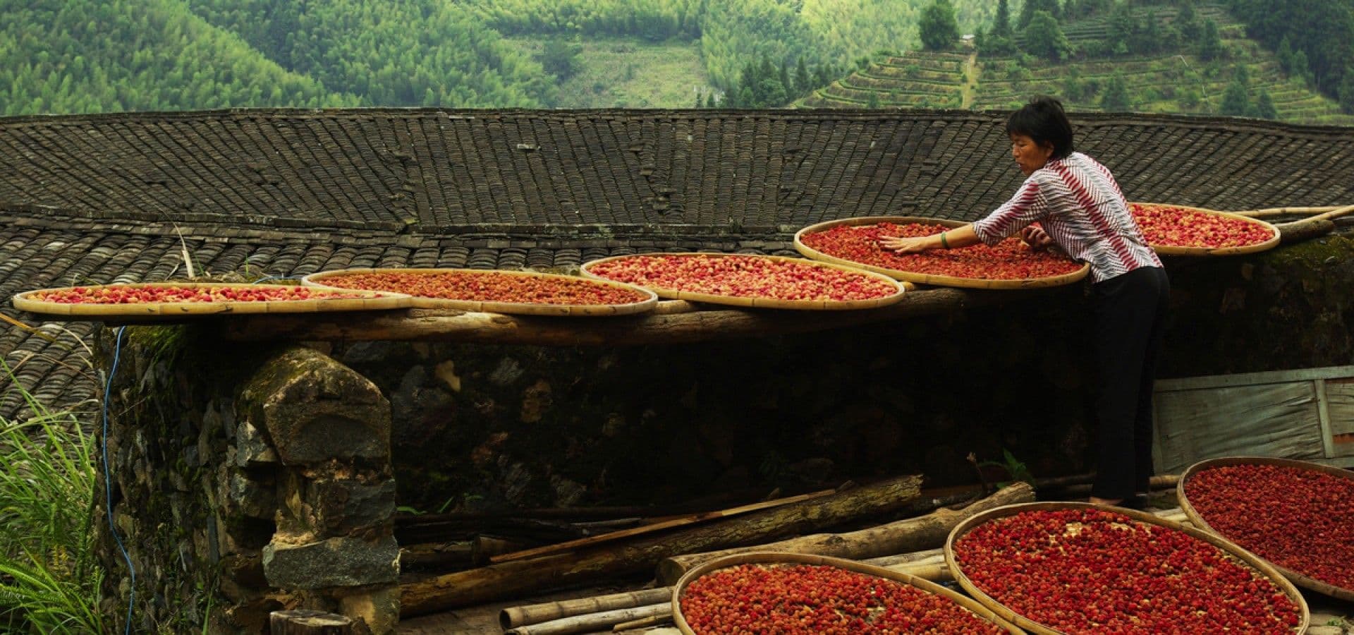 Hero Image of Người Hẹ và những di sản bi thảm