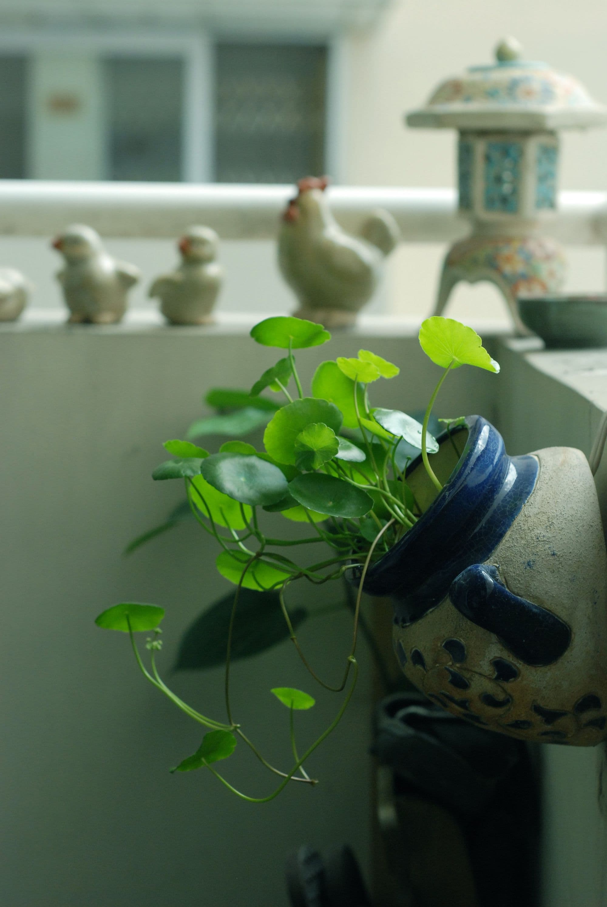 Có vườn trên chung cư