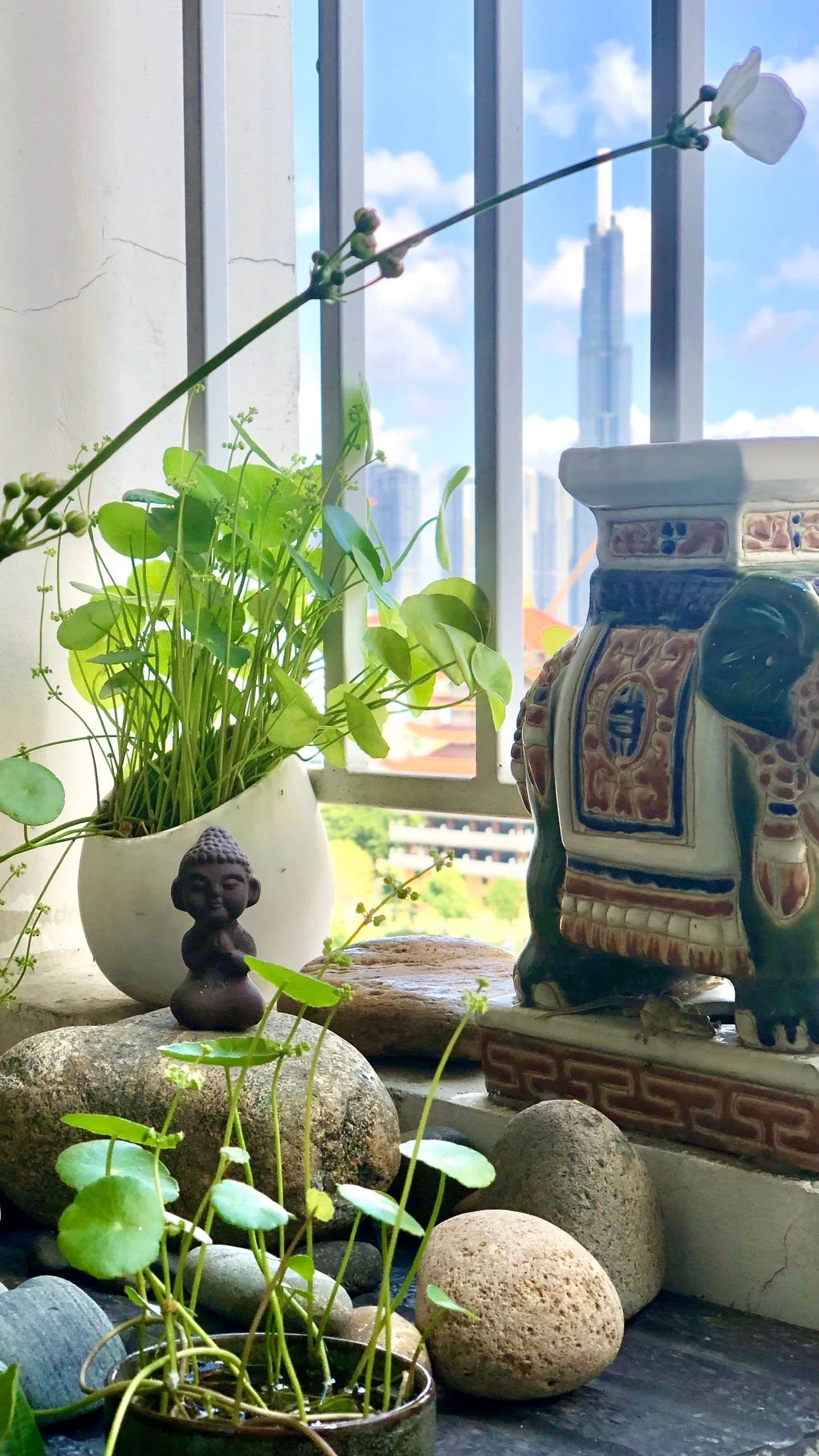 Có vườn trên chung cư