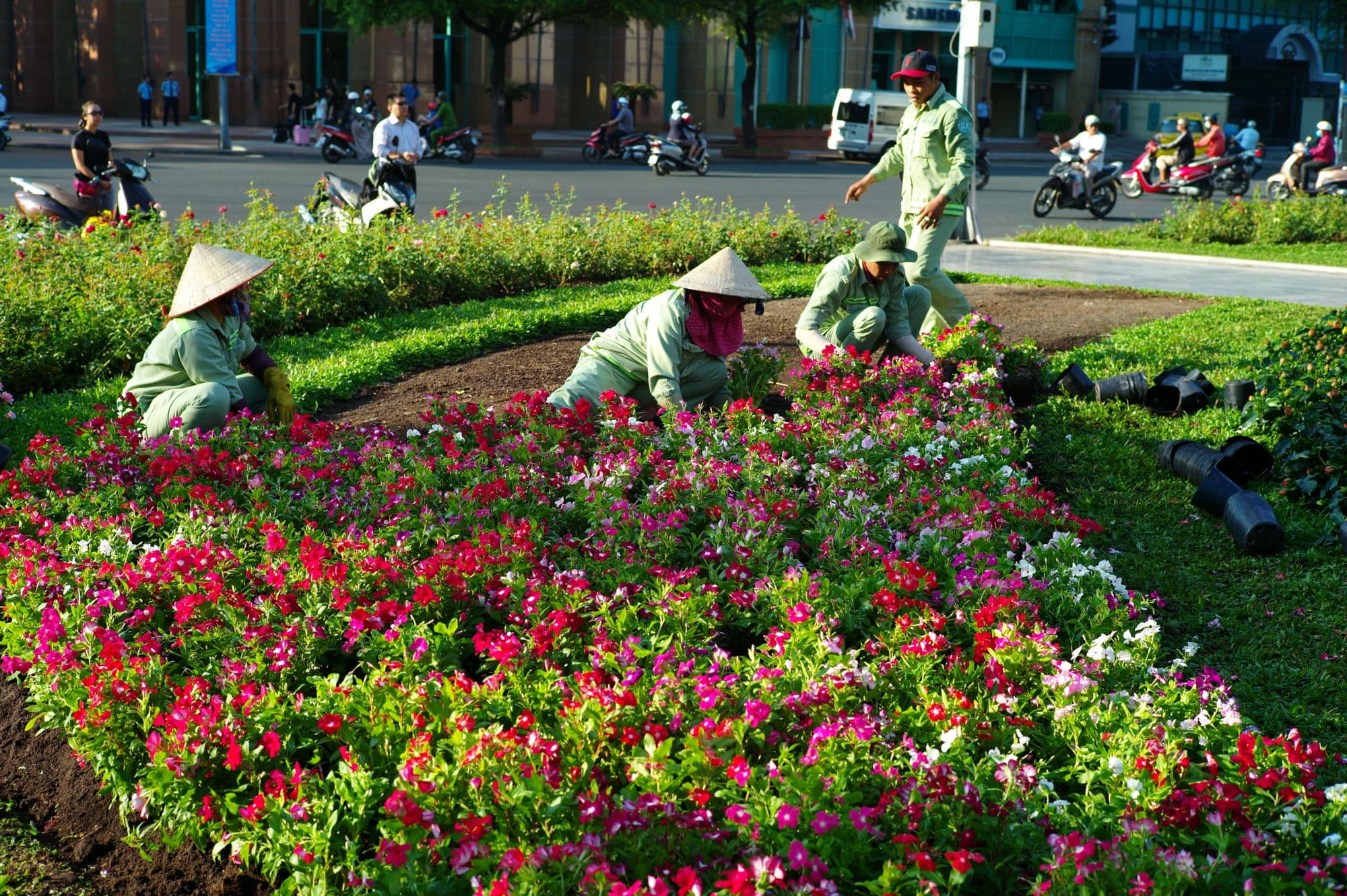 Du lịch gần nhà