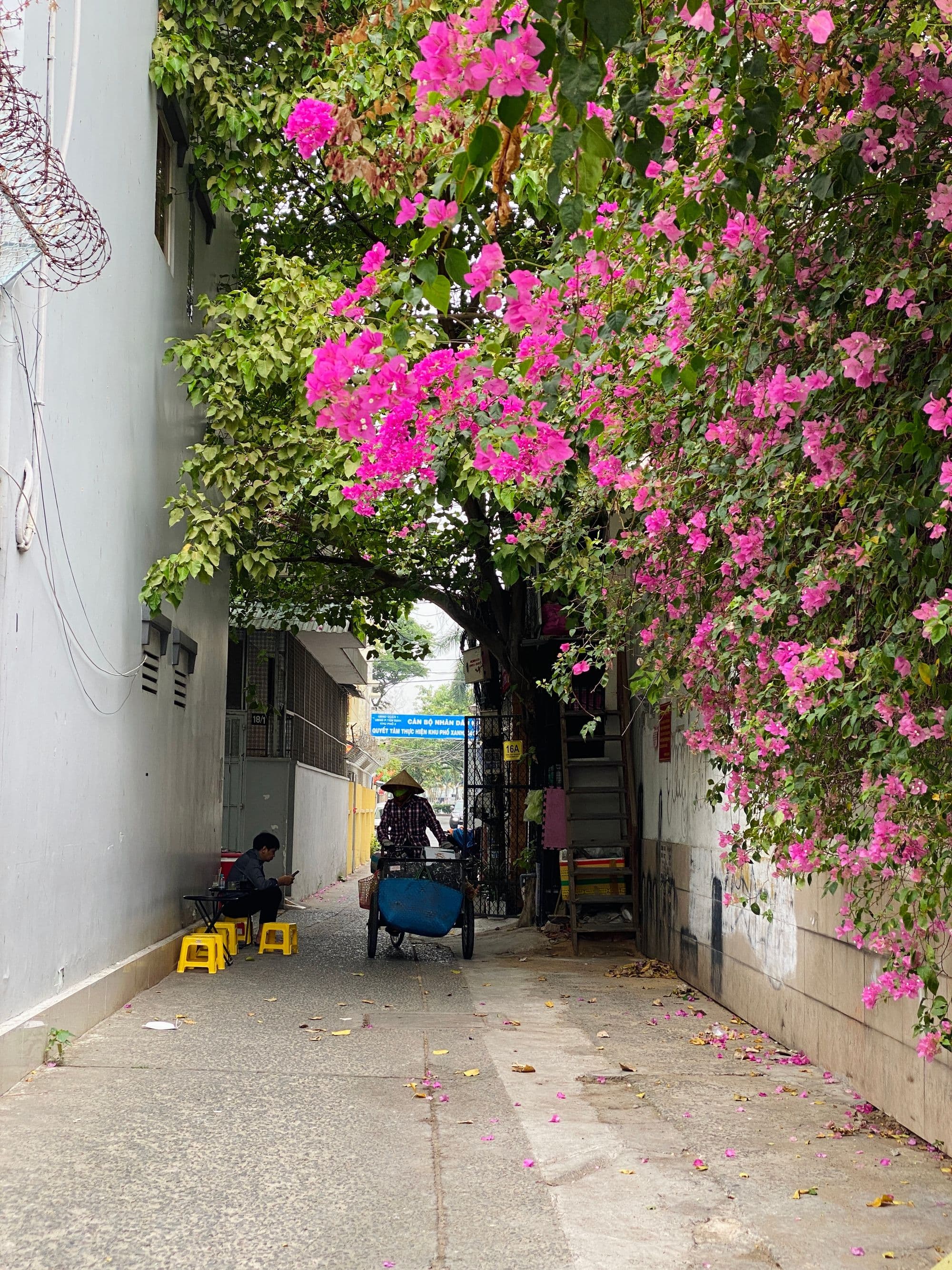 Có gì trong hẻm Sài Gòn?