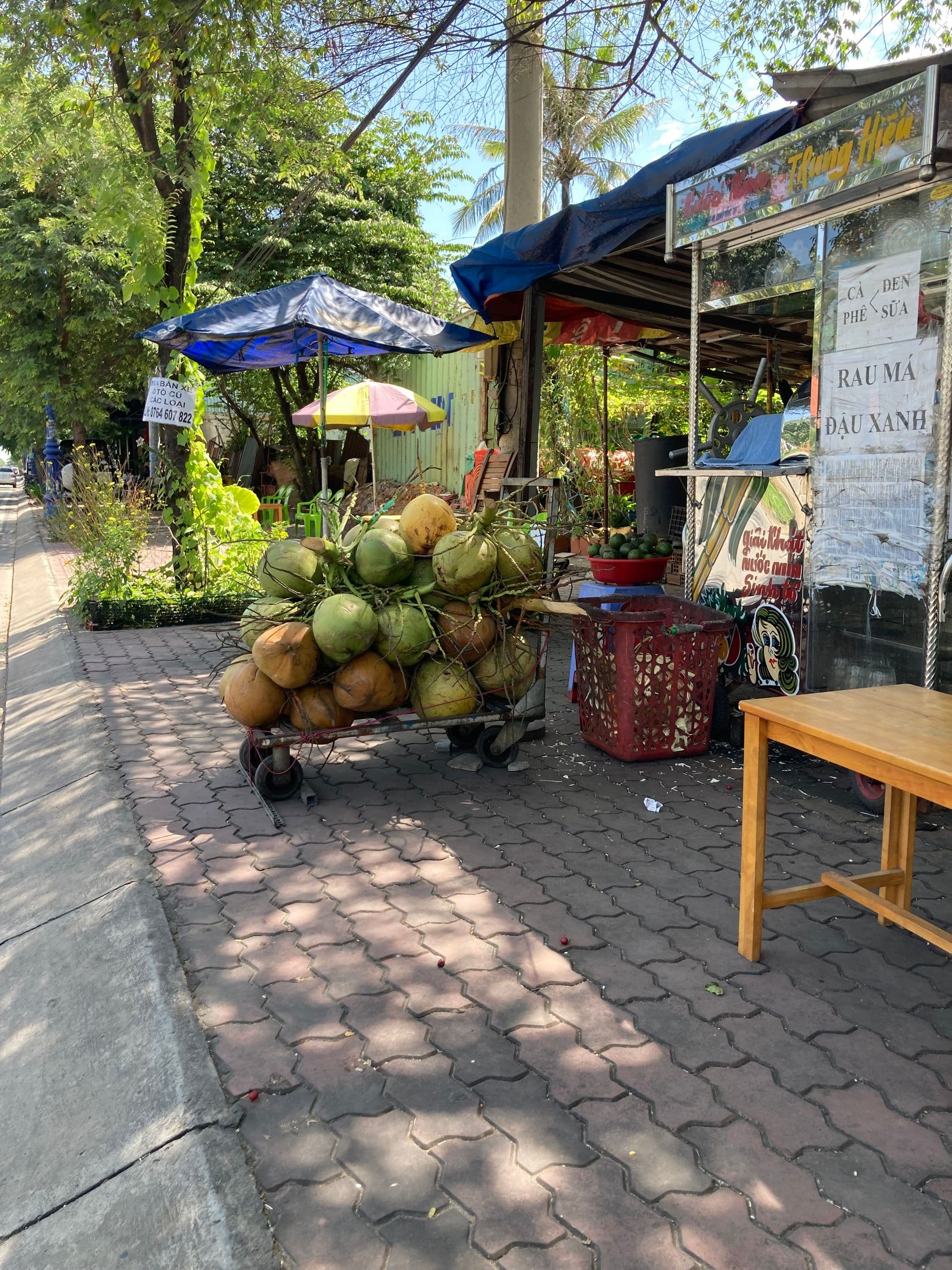 Những gì chưa biết về trái dừa