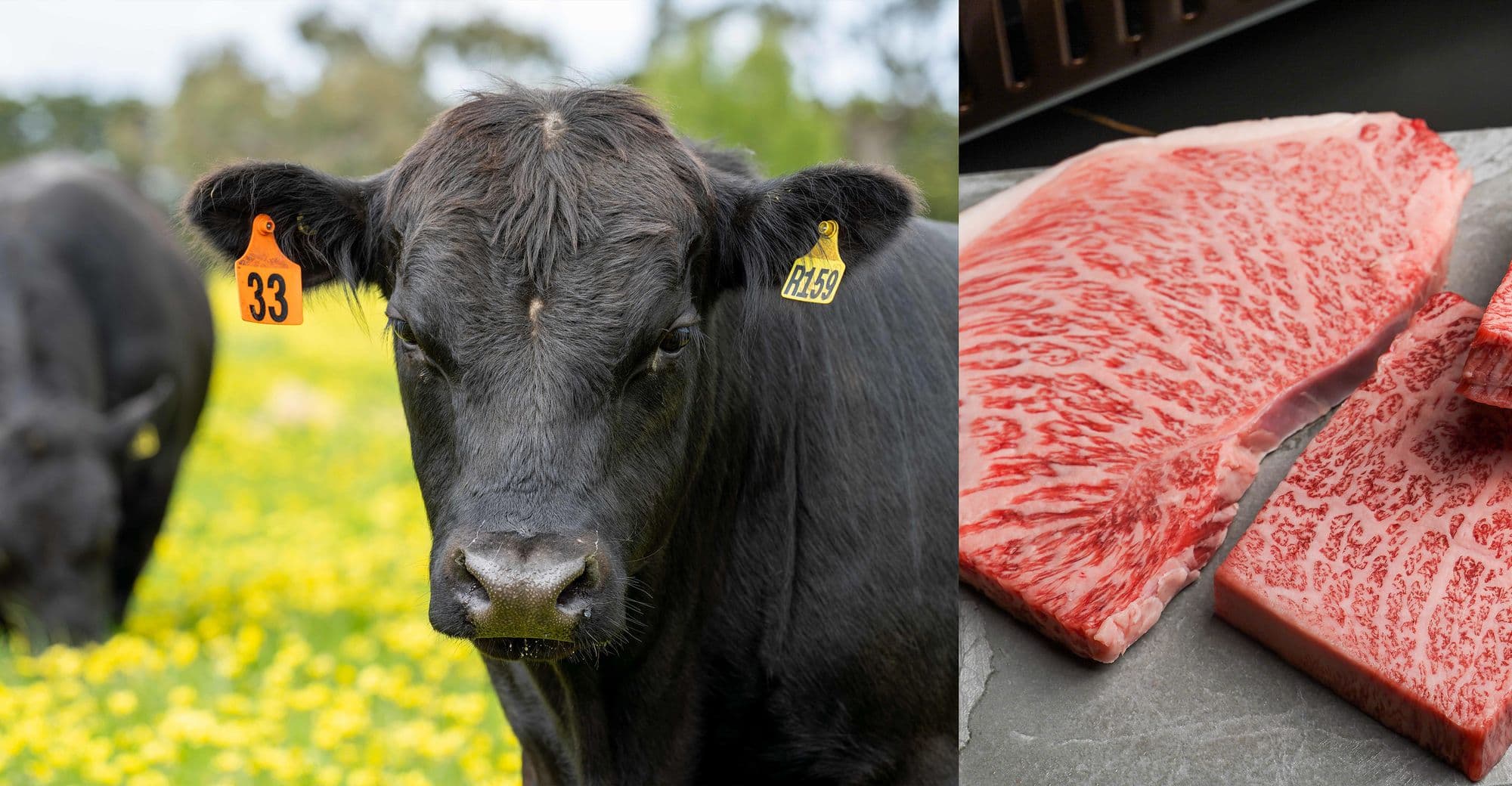 Làm sao để nhận biết một quán steak ngon?