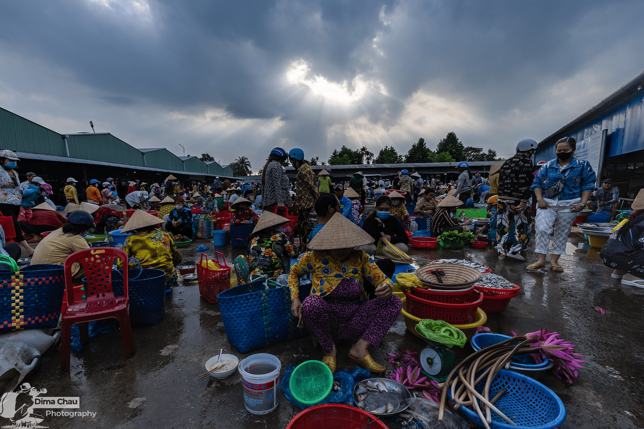 Niềm vui đi chợ