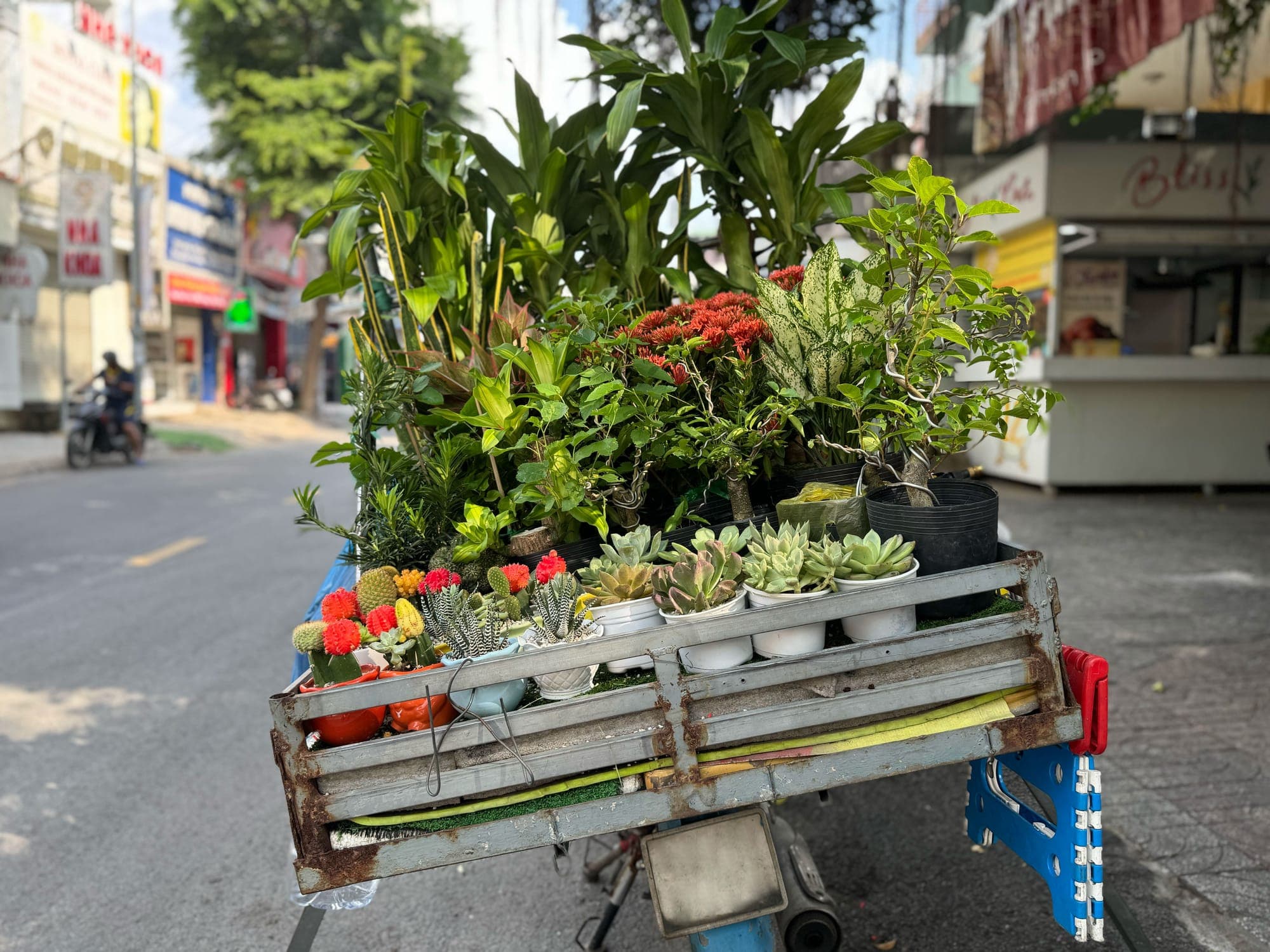 Một ngày ở Sài Gòn