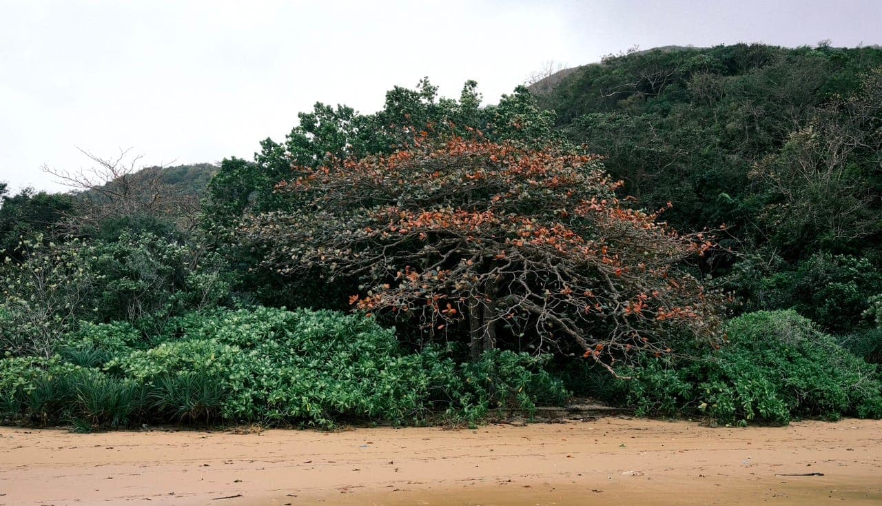 Du lịch Côn Đảo