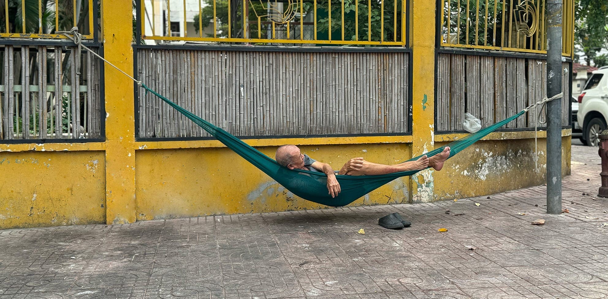 Cuộc sống trên võng