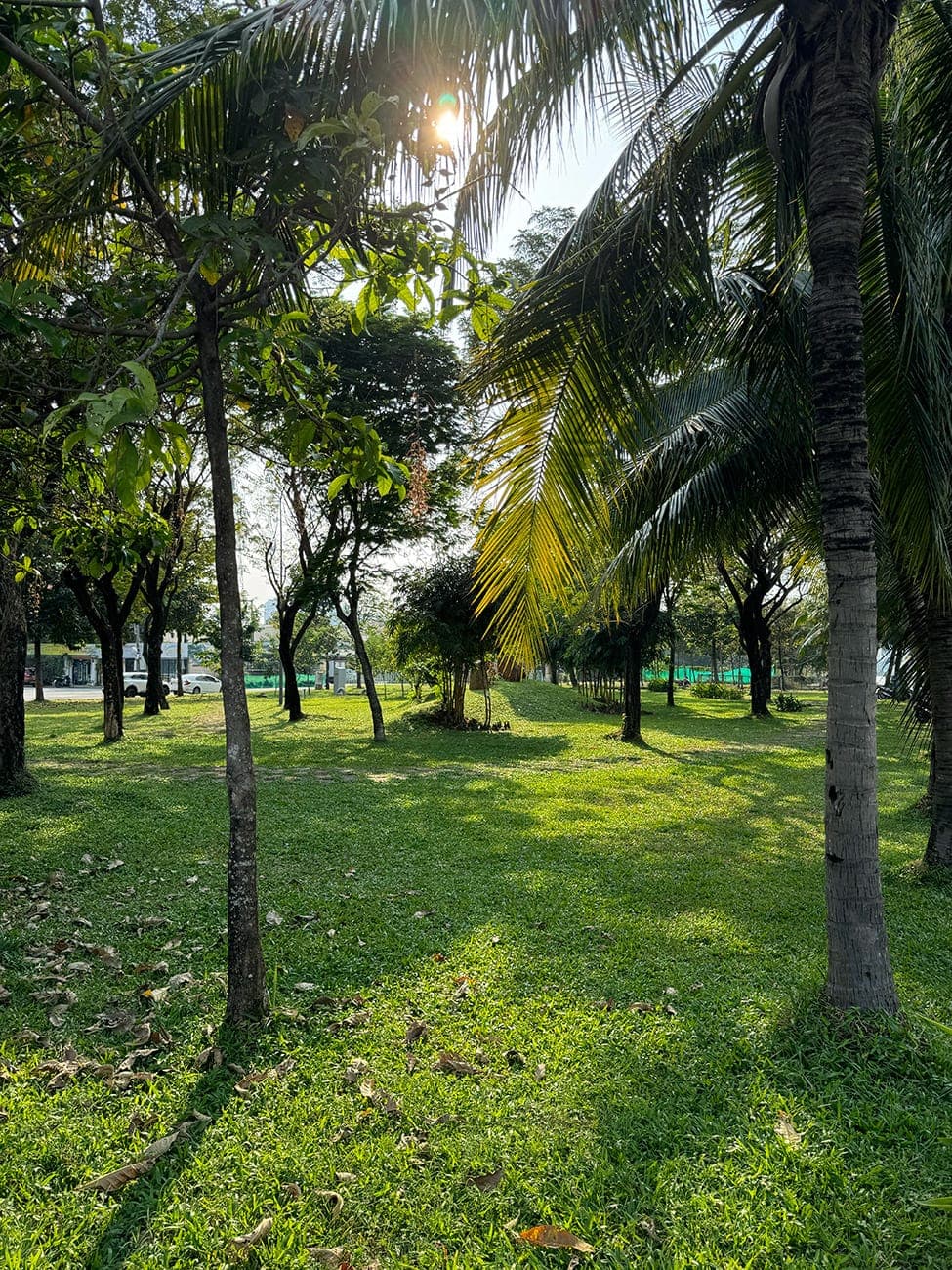 Ga Rạch Chiếc, dòng sông và hoàng hôn trên ốc đảo xa