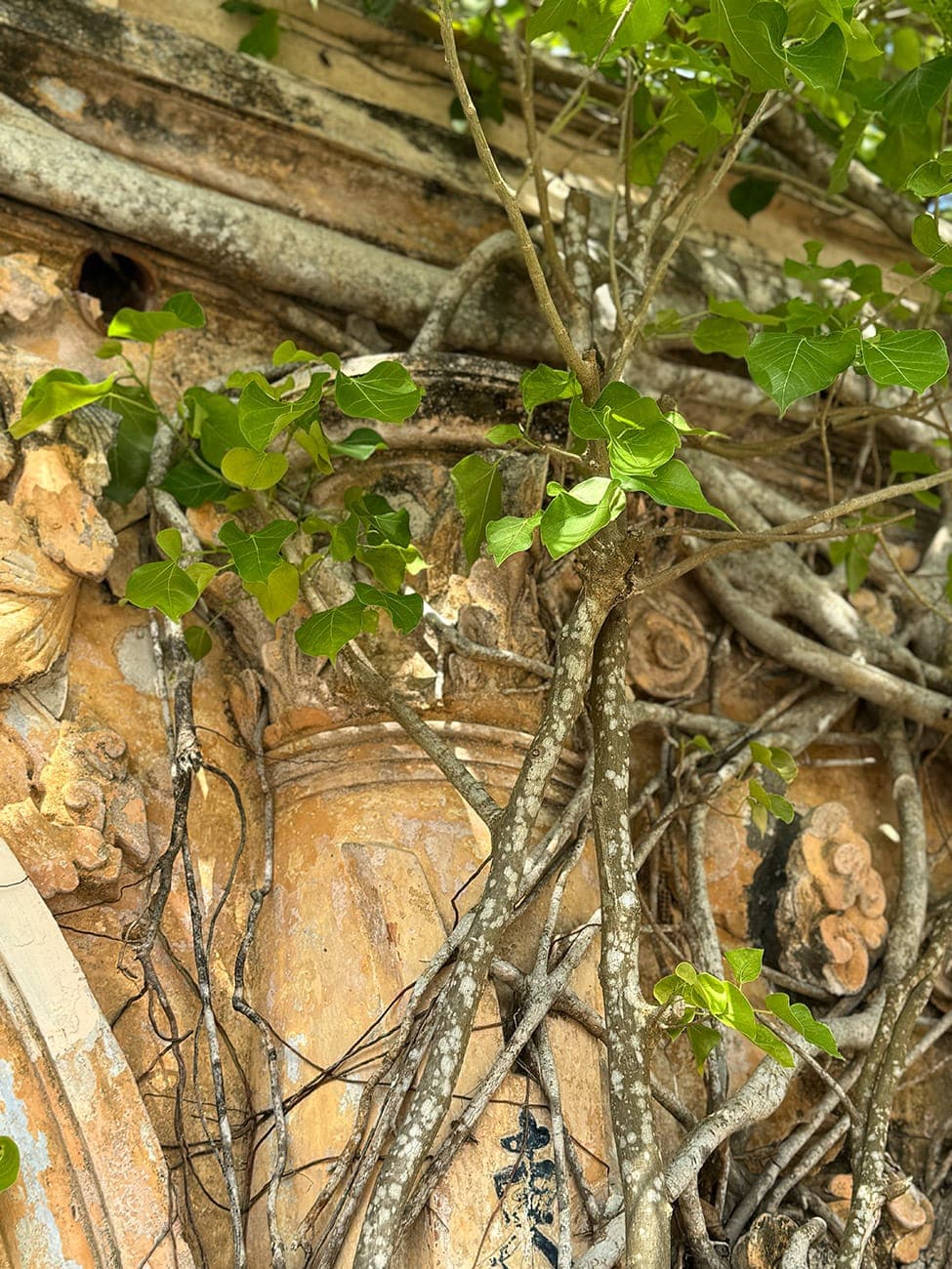 Một ngôi đình kỳ lạ