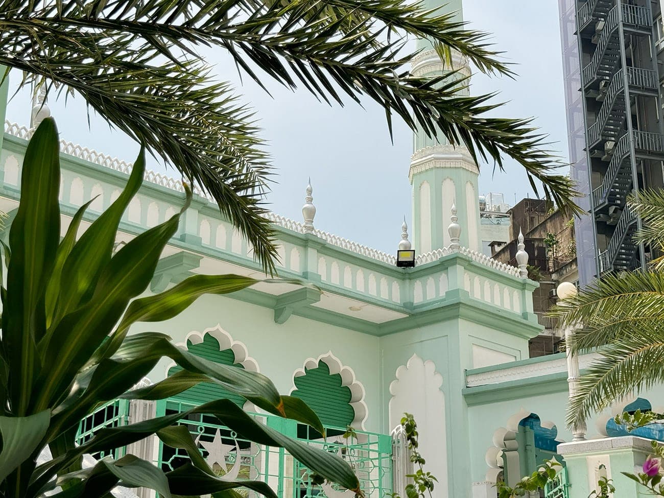 Mảnh Mecca màu xanh giữa trung tâm Sài Gòn