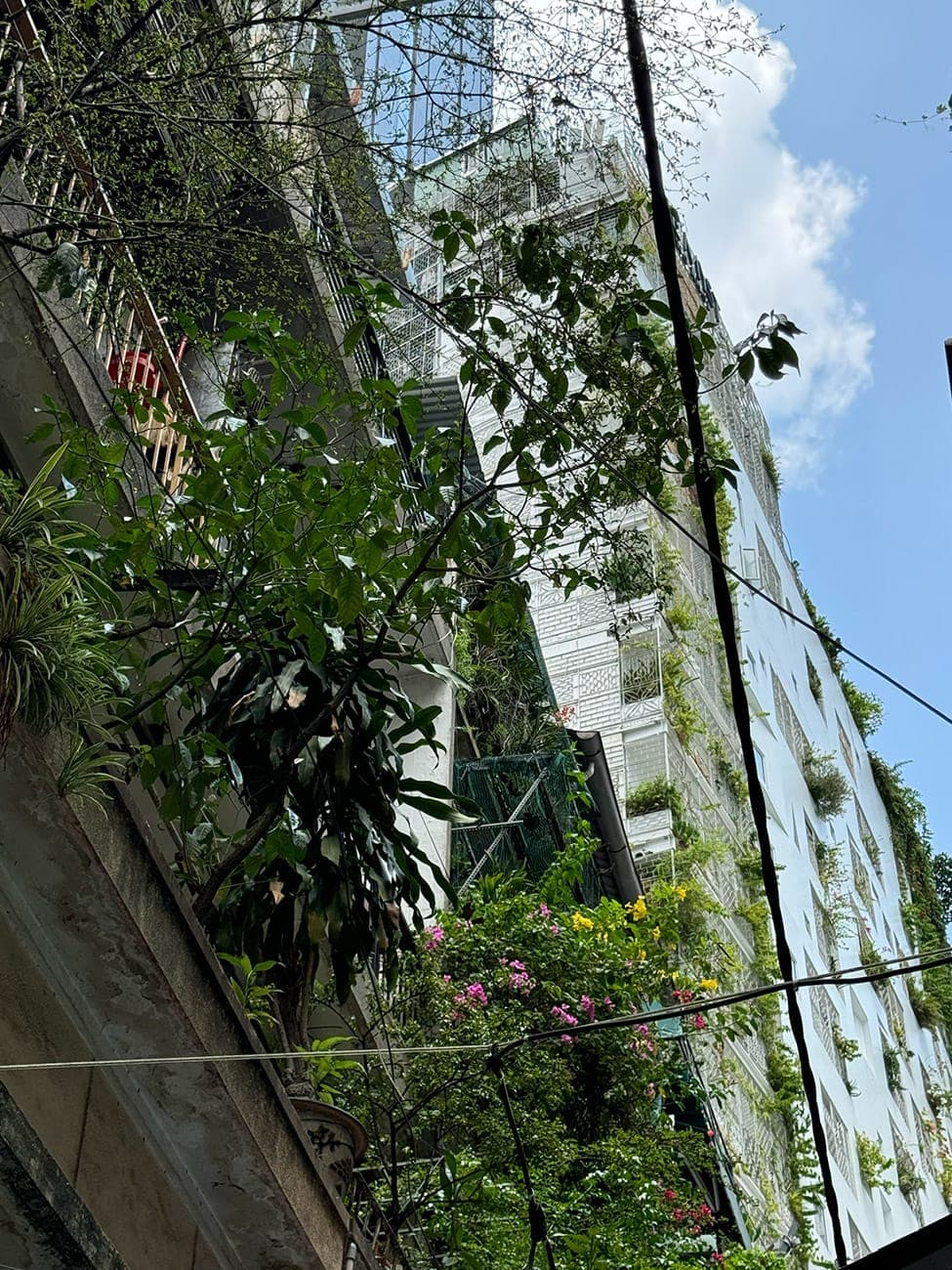 Chật hẹp và xinh xắn