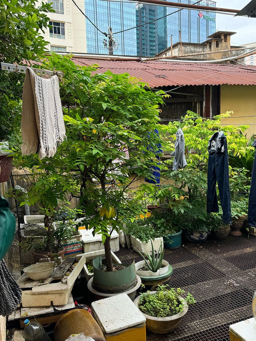 Khu phức hợp đầu tiên của Sài Gòn và gánh hát cuối cùng