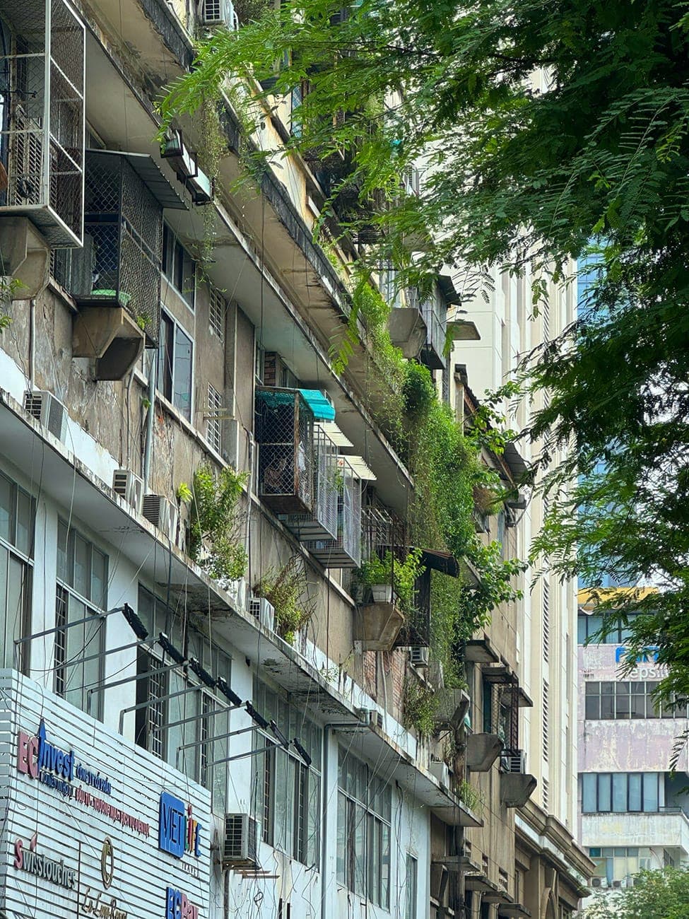 Khu phức hợp đầu tiên của Sài Gòn và gánh hát cuối cùng