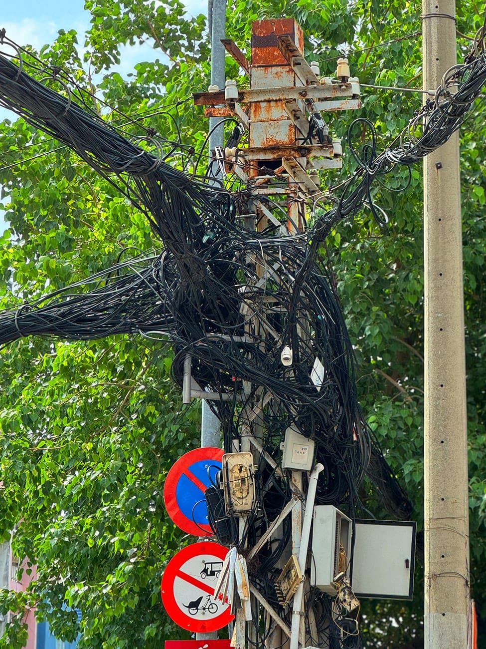 Những cụ già tóc rối trăm tuổi