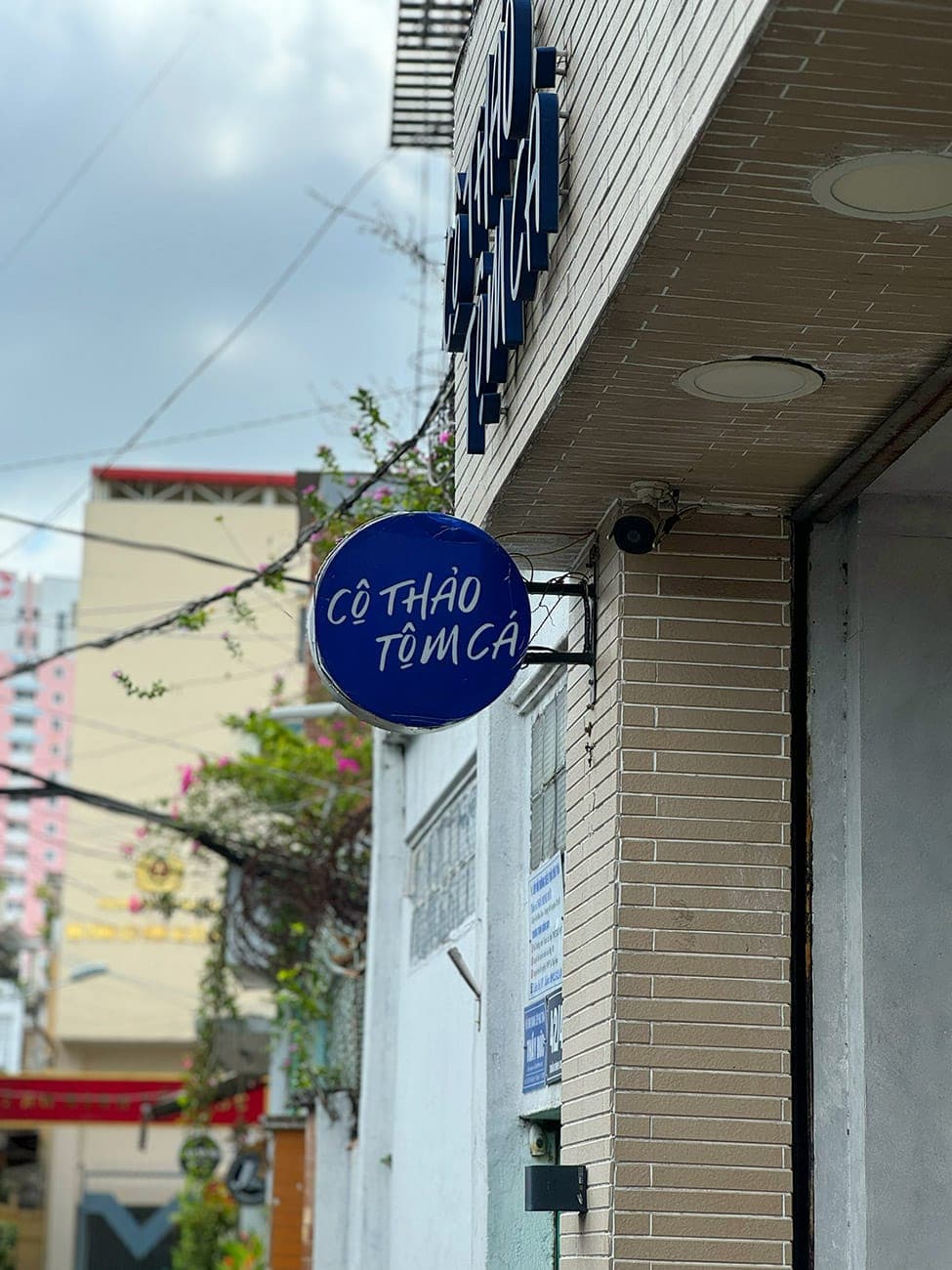 Chill trên con đường cổ điển