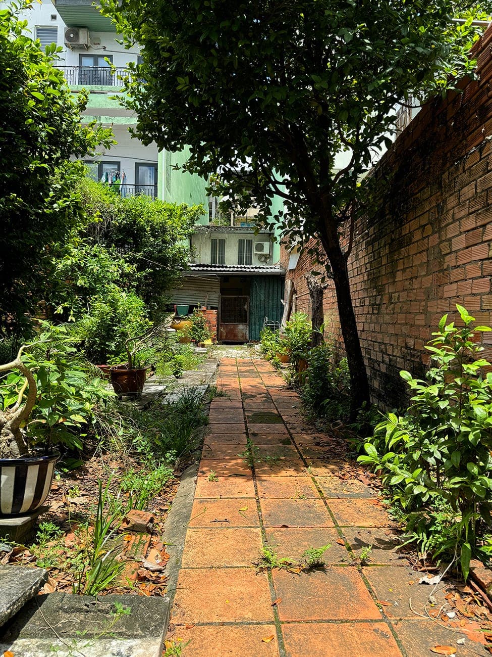 Chill trên con đường cổ điển