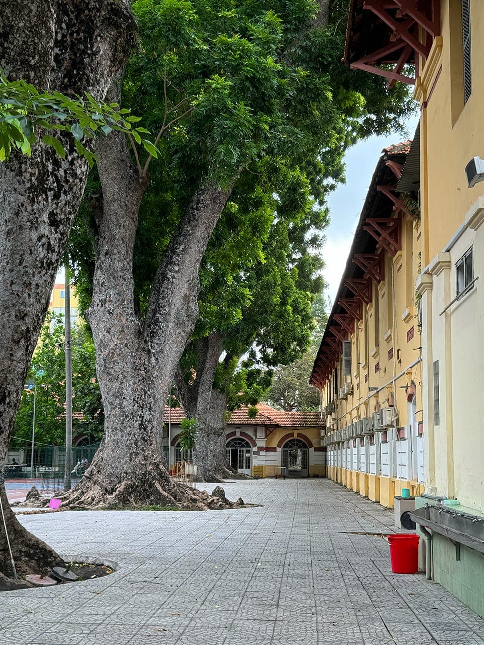 Ngôi trường trăm năm và những đổi thay từ con chữ