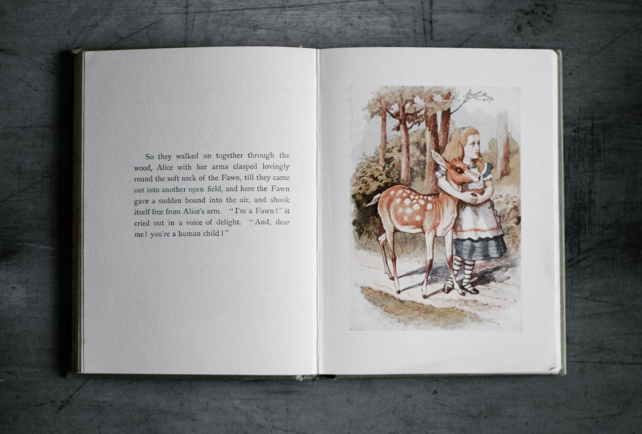 Alice và chiếc hang hiện thực