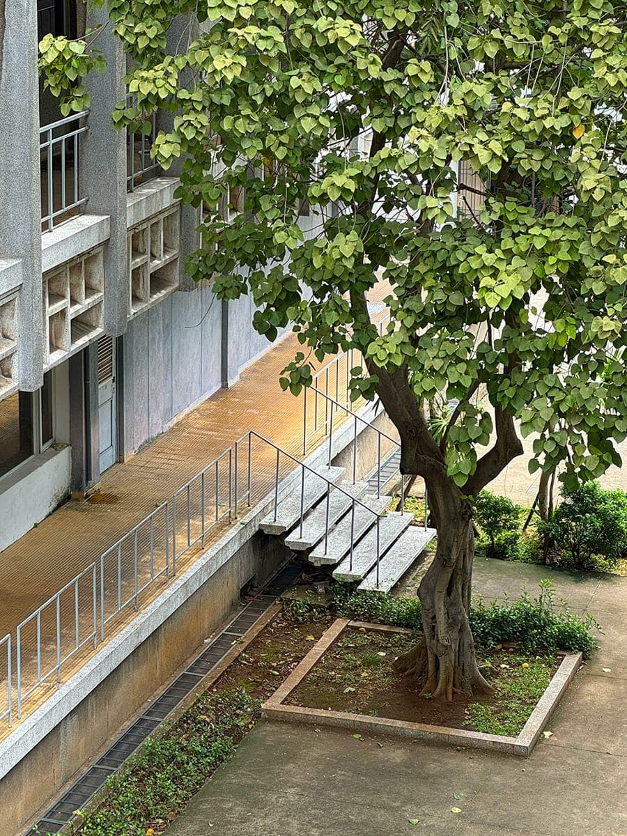 Một vẻ đẹp của nhiều câu chuyện lạ