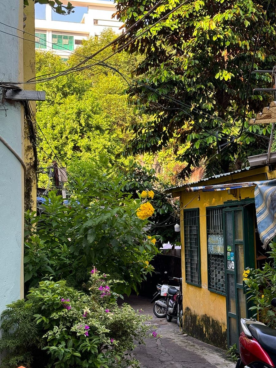 Chill ở các triền dốc Sài Gòn