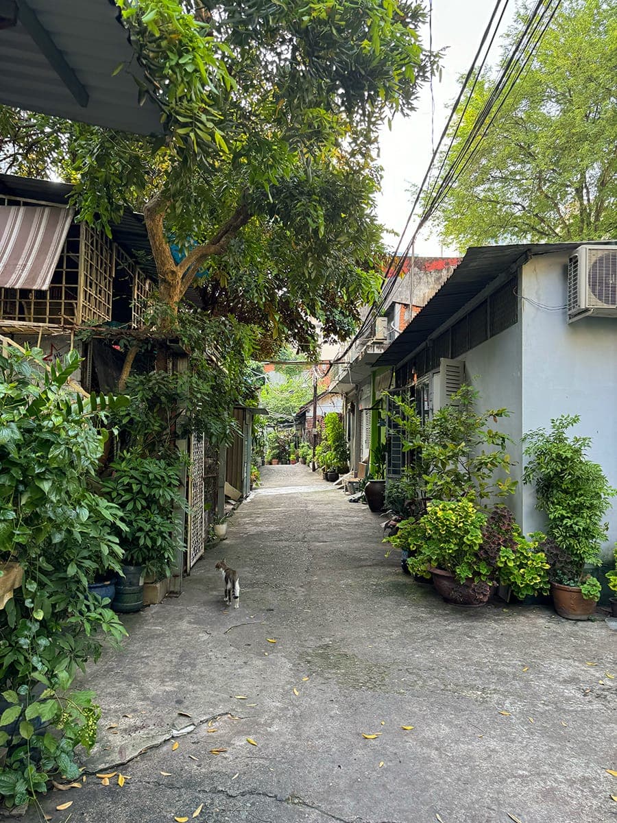 Chill ở các triền dốc Sài Gòn