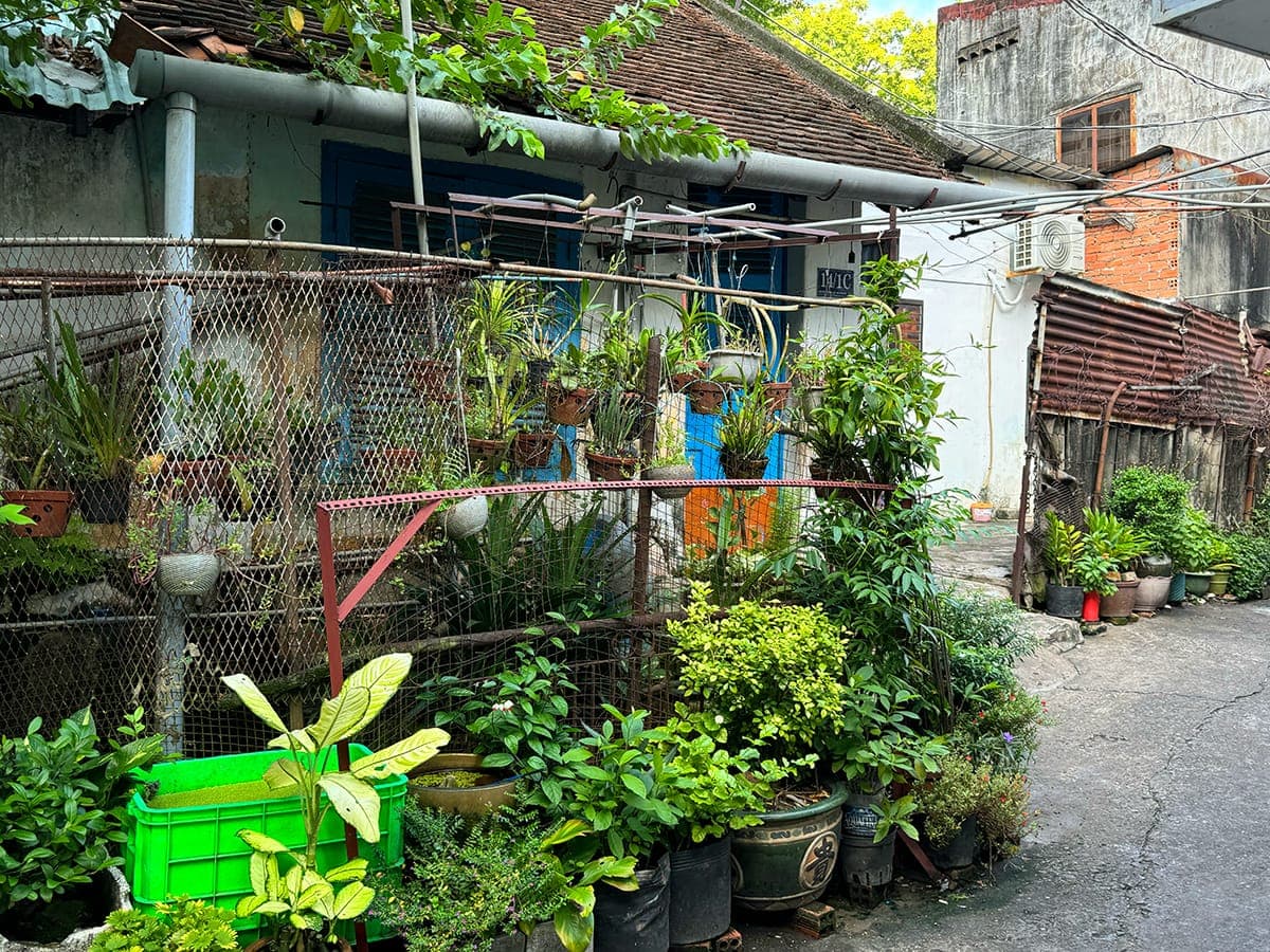 Chill ở các triền dốc Sài Gòn