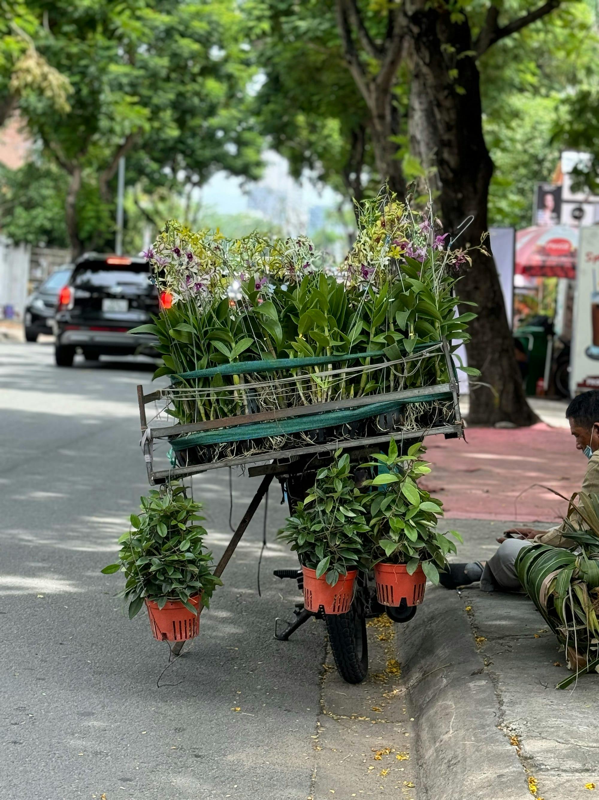 Những gian hàng đường phố tuyệt mỹ