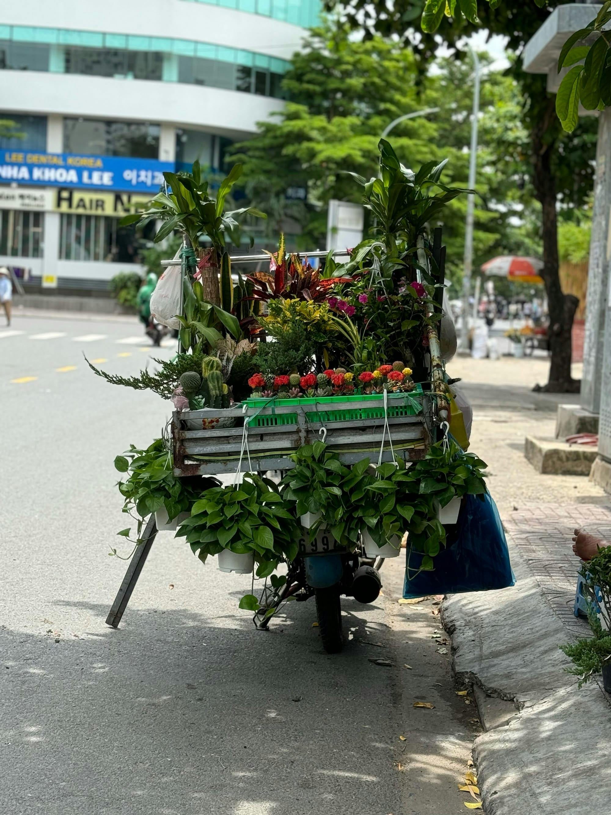 Những gian hàng đường phố tuyệt mỹ