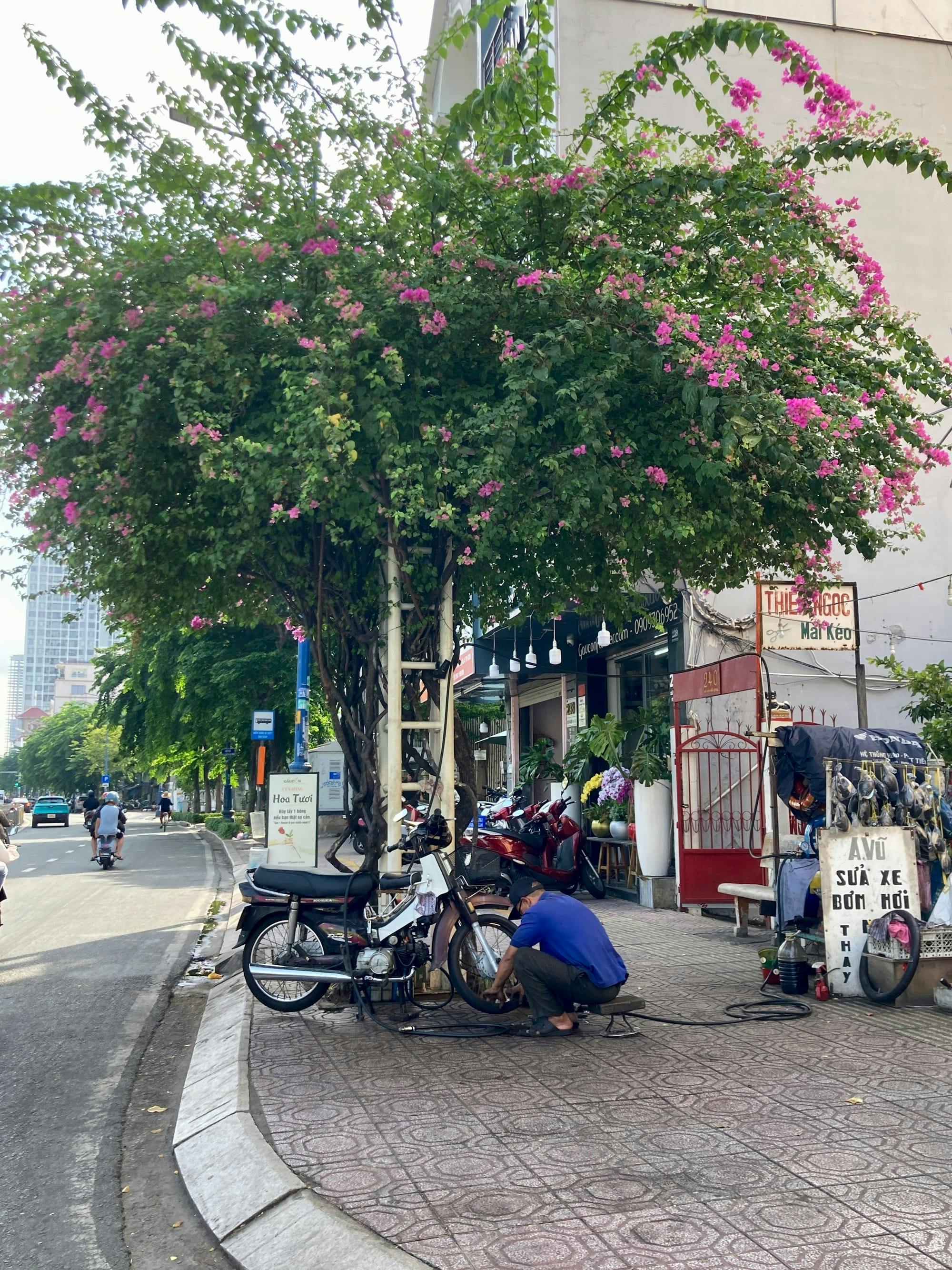 Nghệ thuật chống nắng