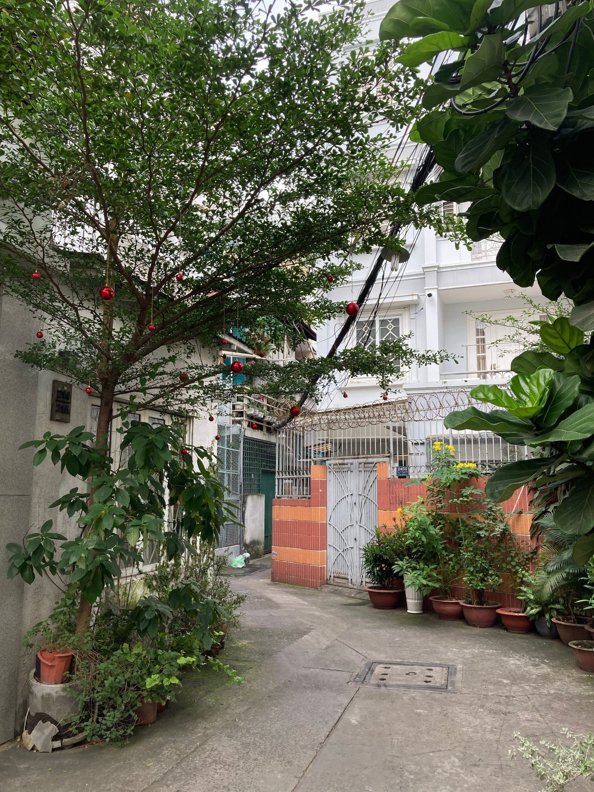 Hero Image of Tiểu khu