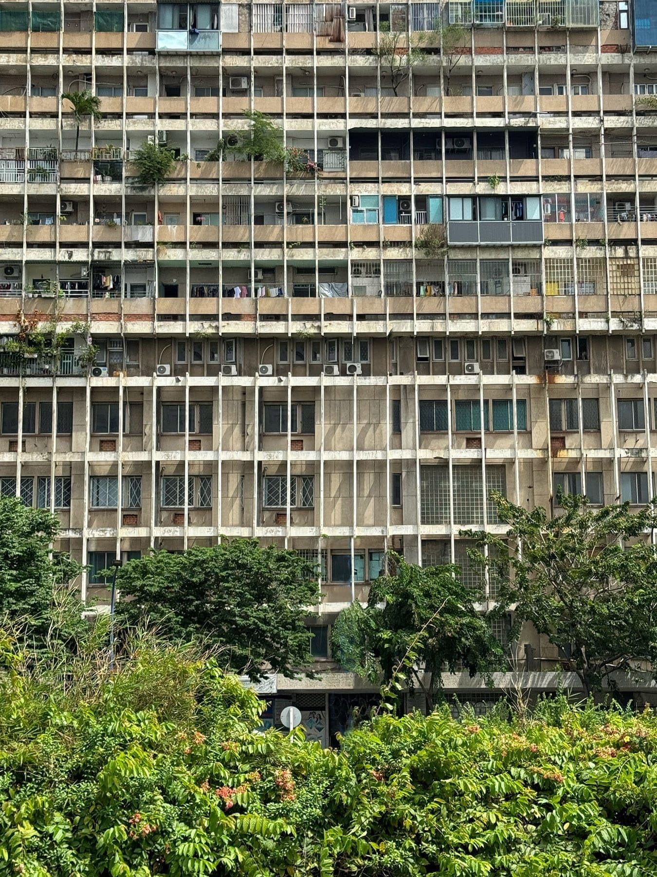 Hero Image of Những bất ngờ bên trong chung cư cũ