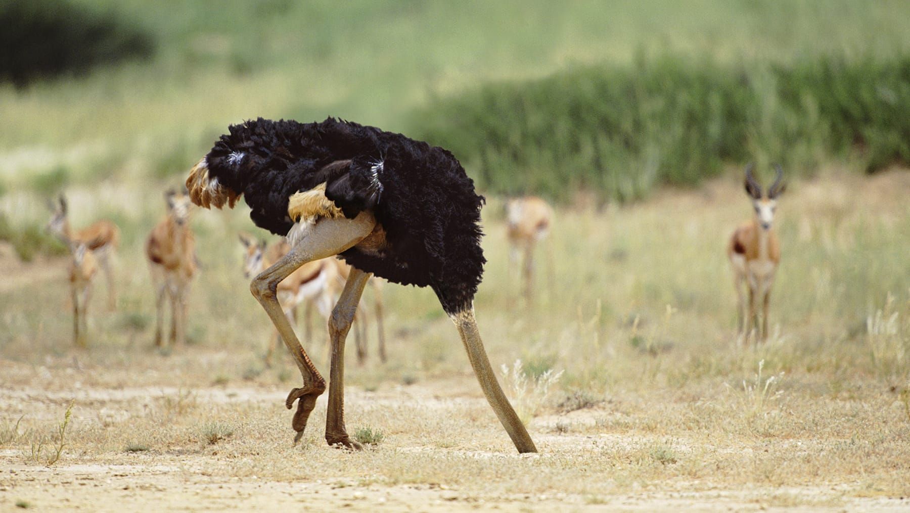 Hero Image of Tại sao một số người đơn giản là không bao giờ xấu hổ?