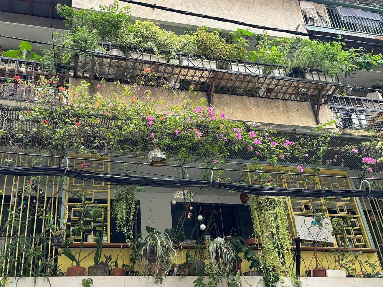 Hero Image of Sống nơi thời gian dừng trôi