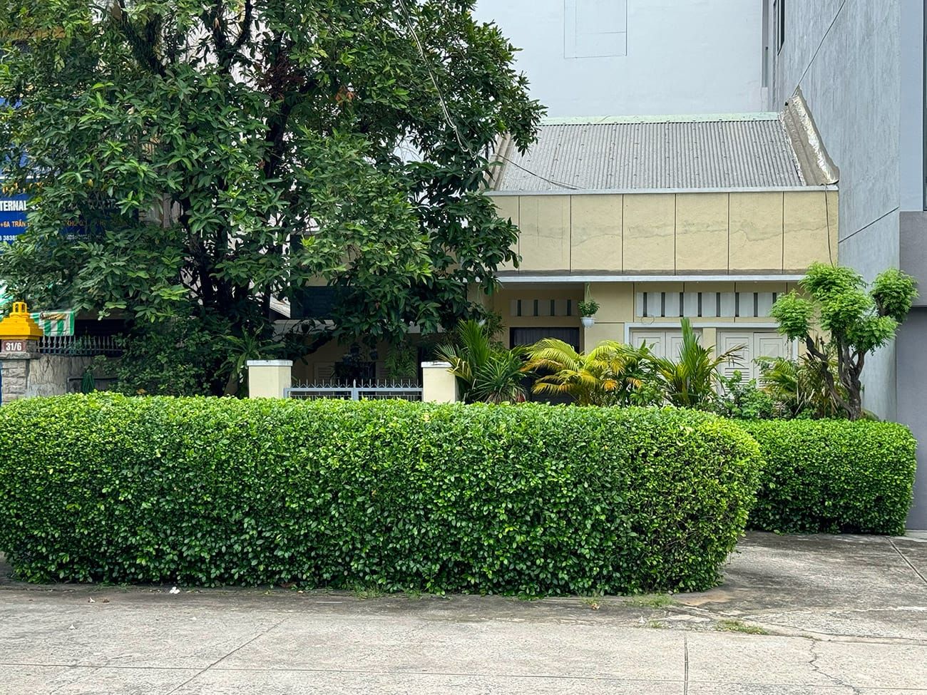 Hero Image of Chill trên con đường cổ điển