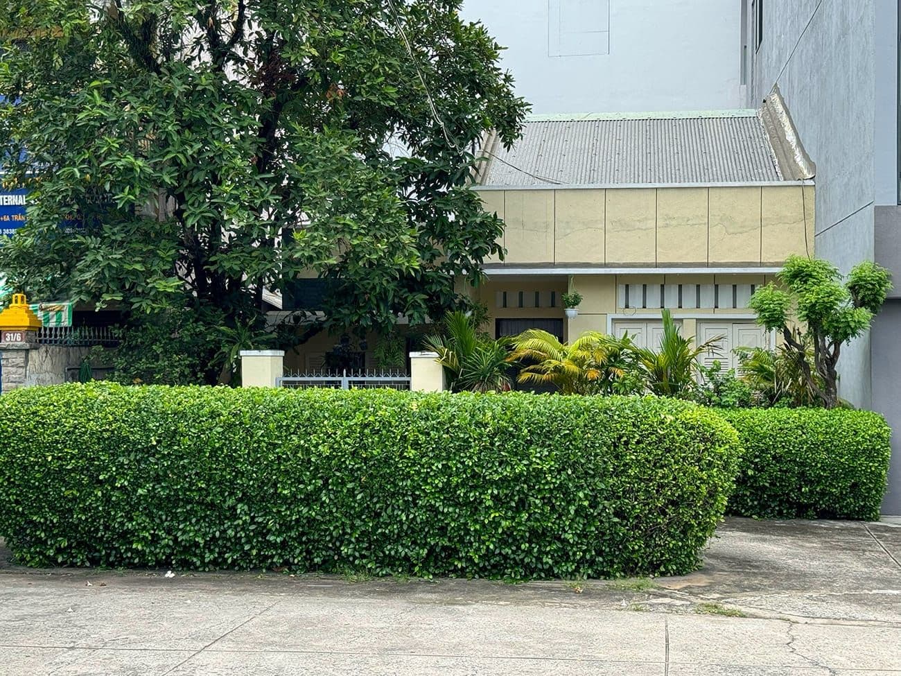 Hero Image of Chill trên con đường cổ điển